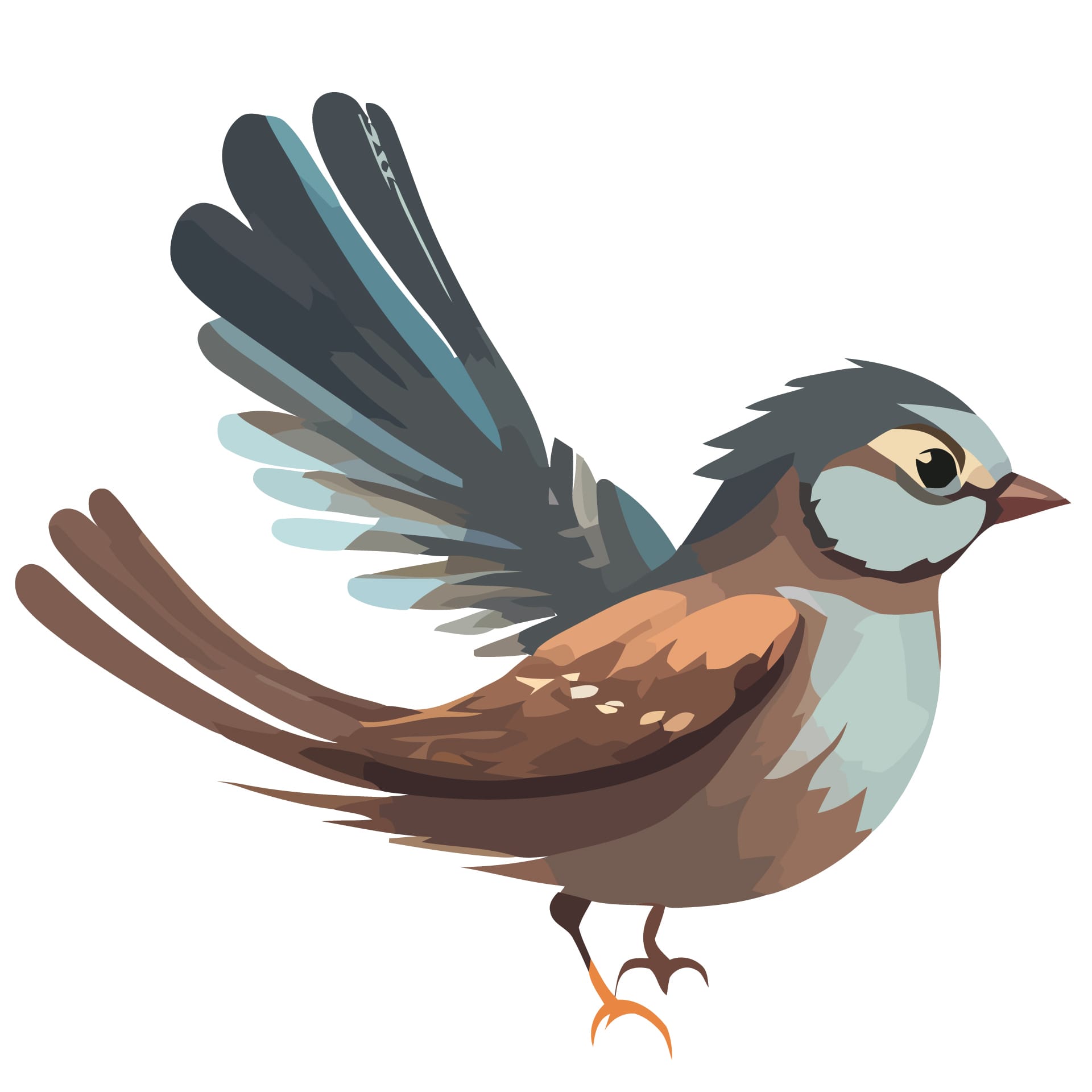 Bird clipart cartoon sparrows isolated art