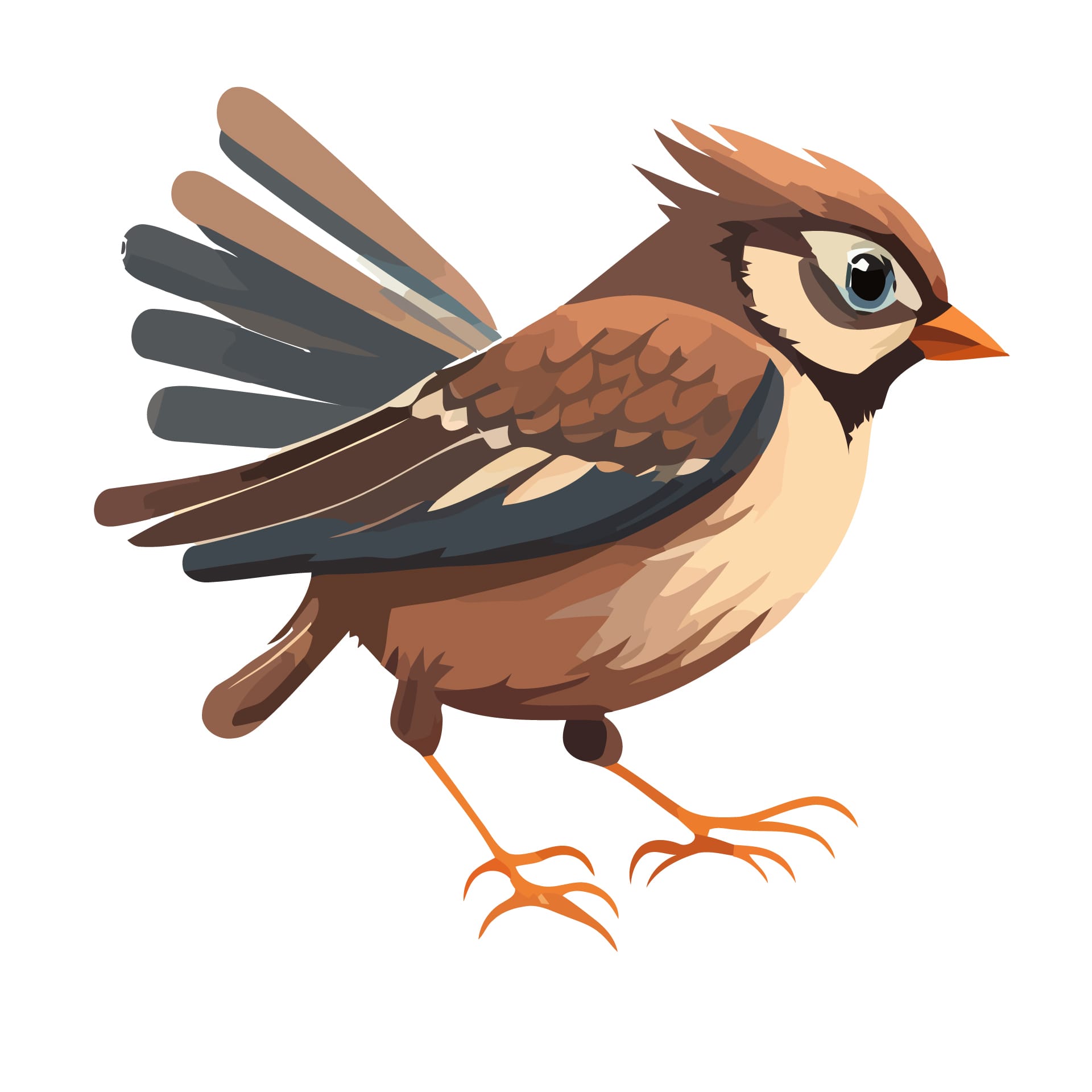 Bird clipart cartoon sparrows isolated design