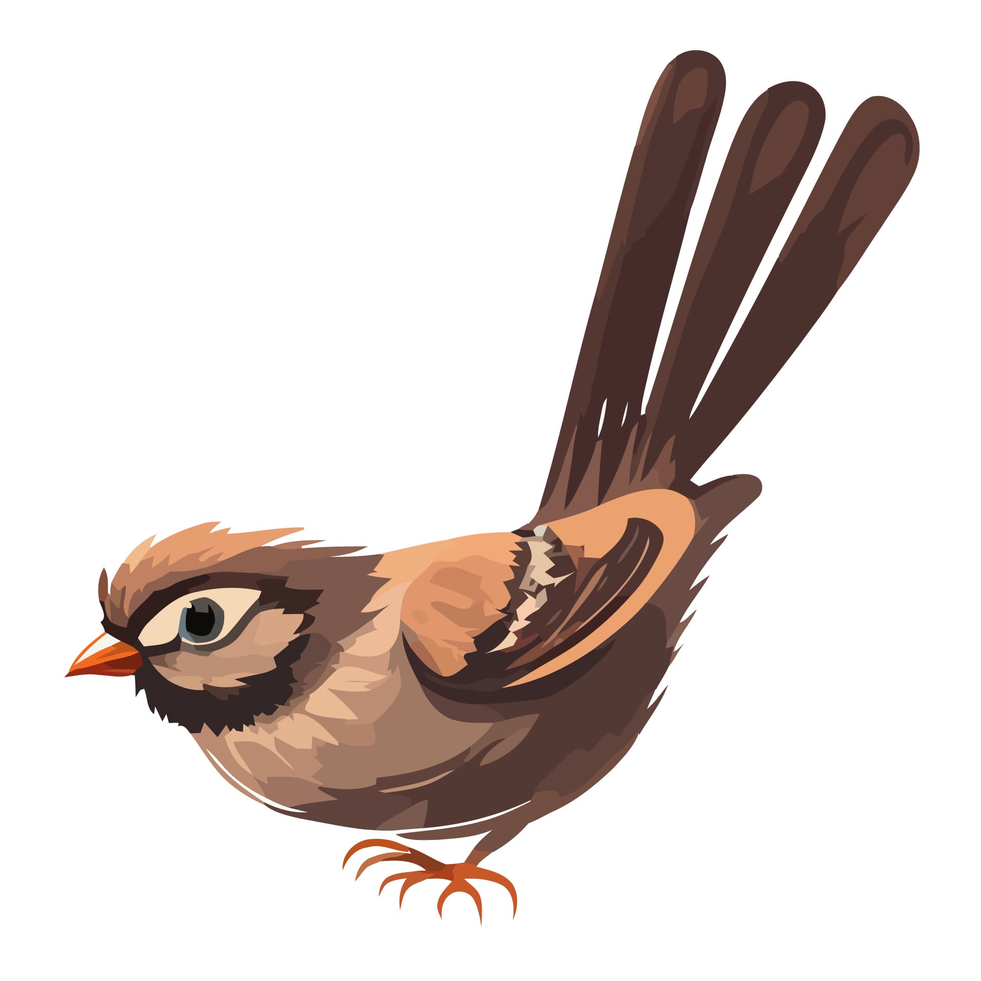 Cartoon sparrows isolated bird clipart bird clipart