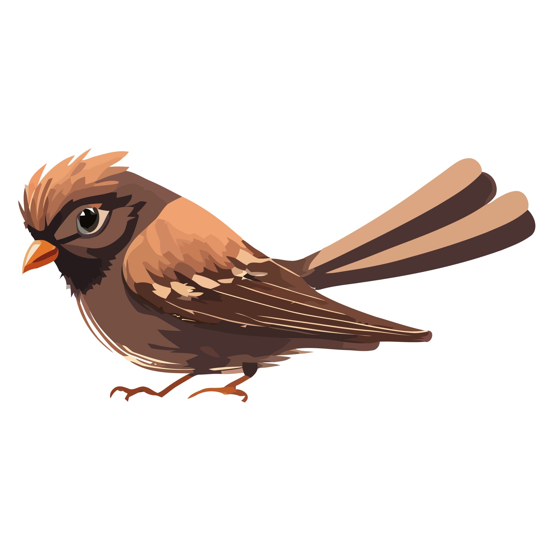 Cartoon sparrows isolated clipart