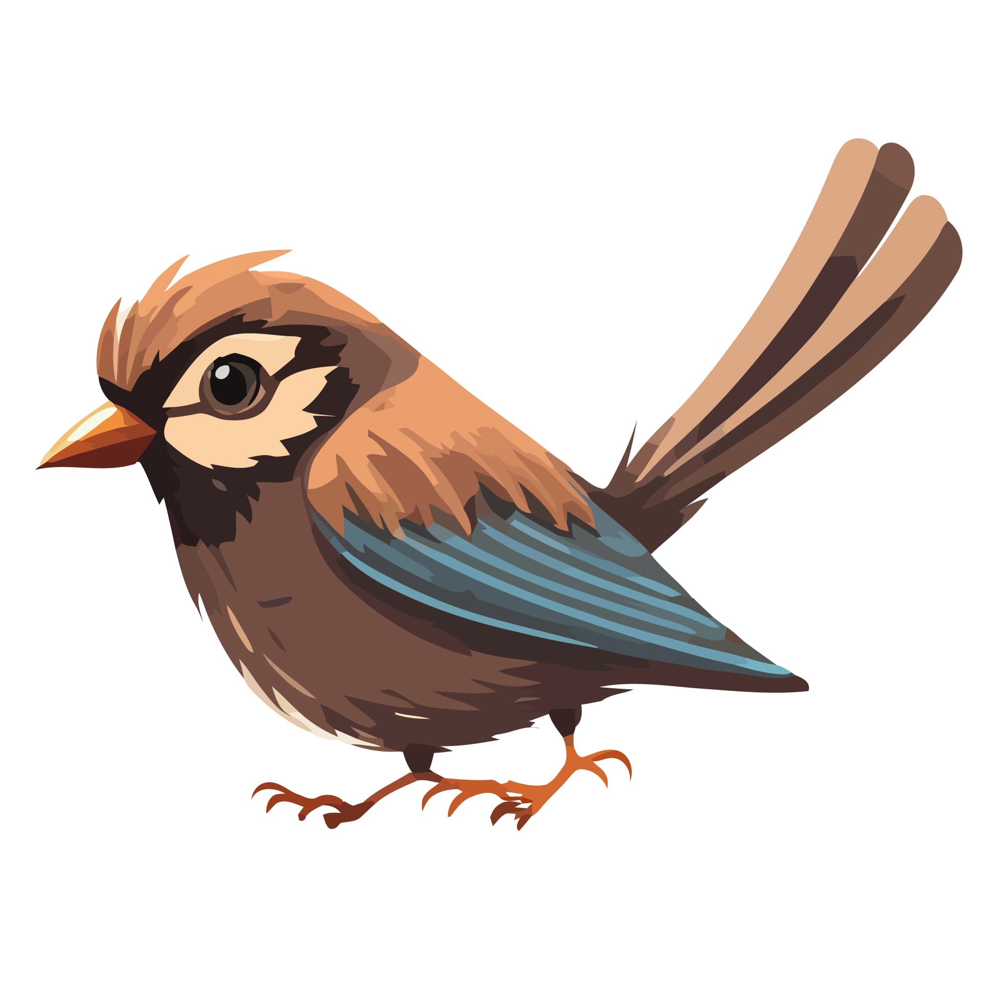Cartoon sparrows isolated design