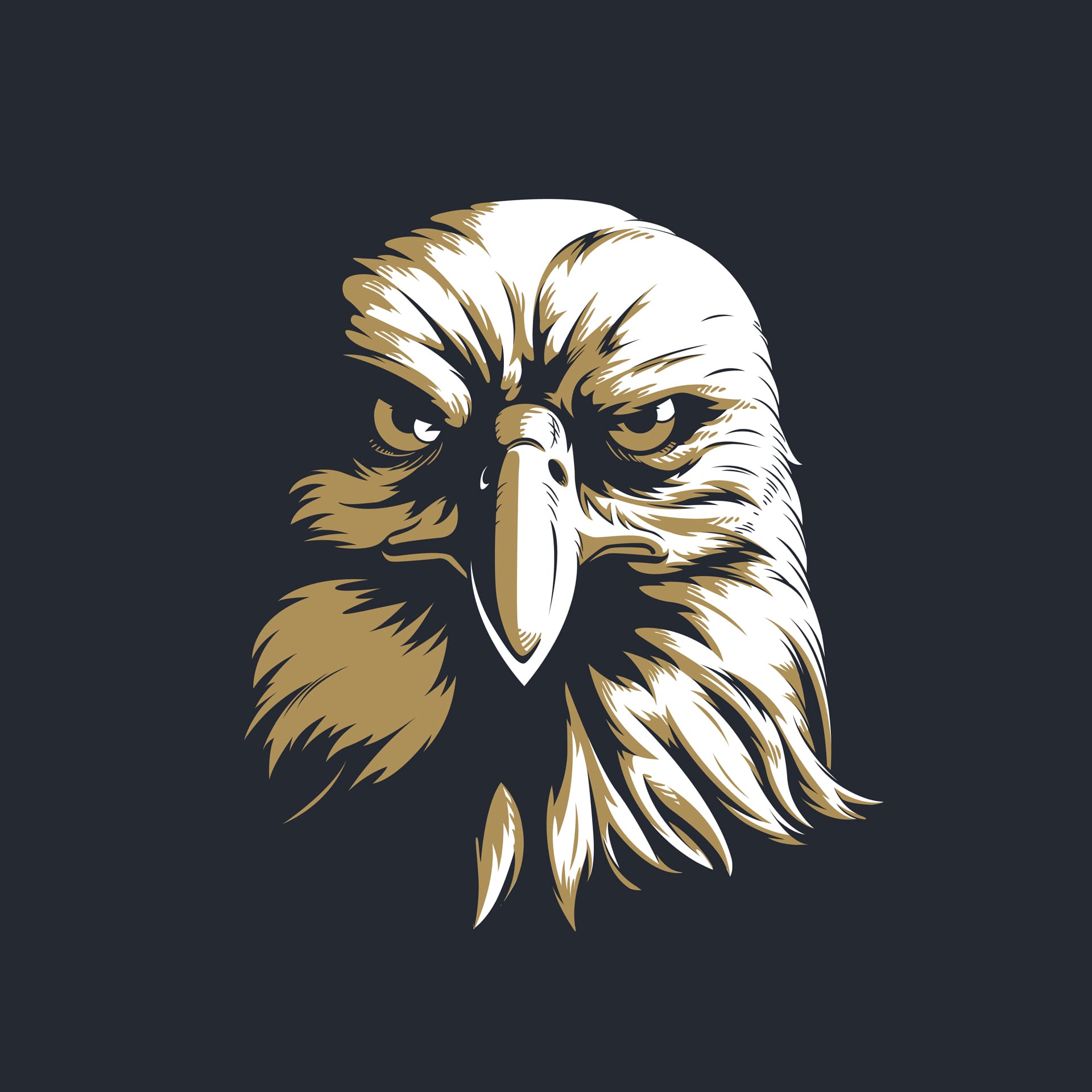 Silhouette eagle head front isolated image