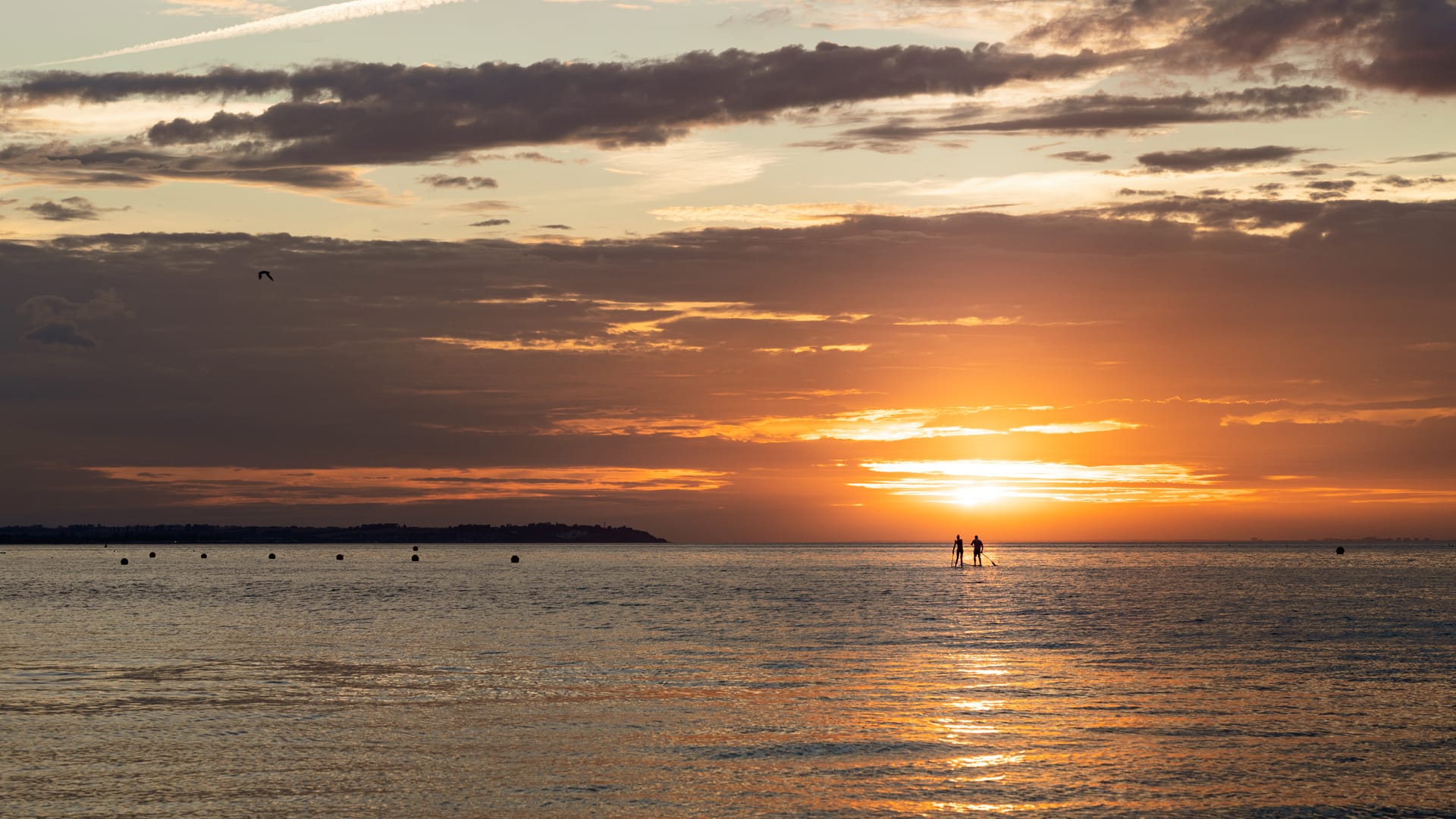 Silhouette people paddleboarding during sunset beautiful beach photos