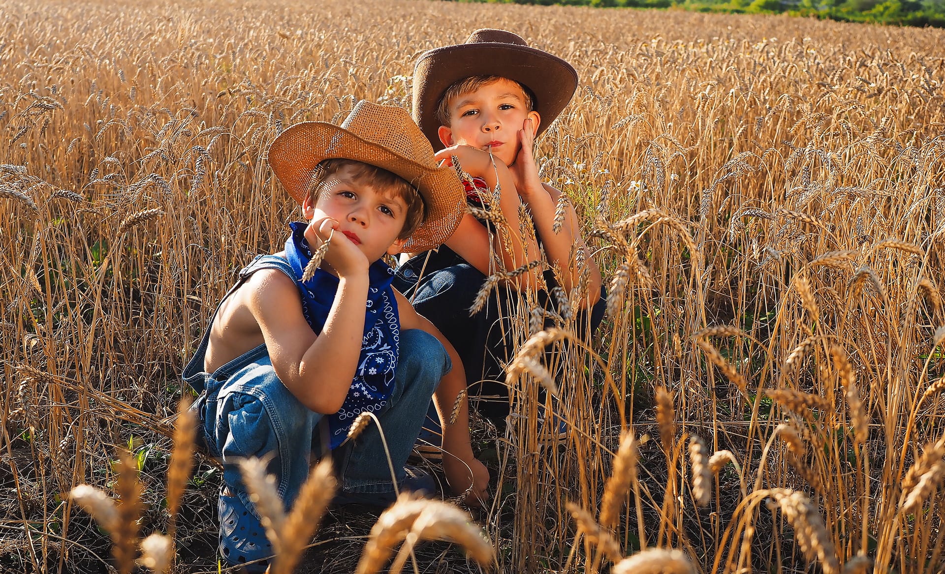 Little adorable cowboys sitting field wheat during daytime