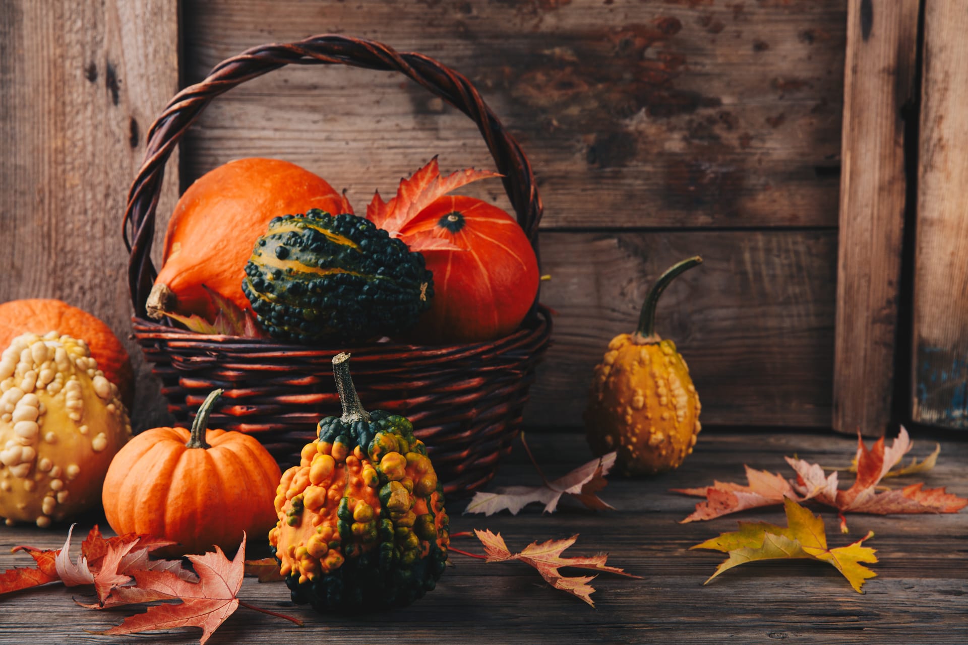 Colorful pumpkins fall leaves wooden background halloween thanksgiving day