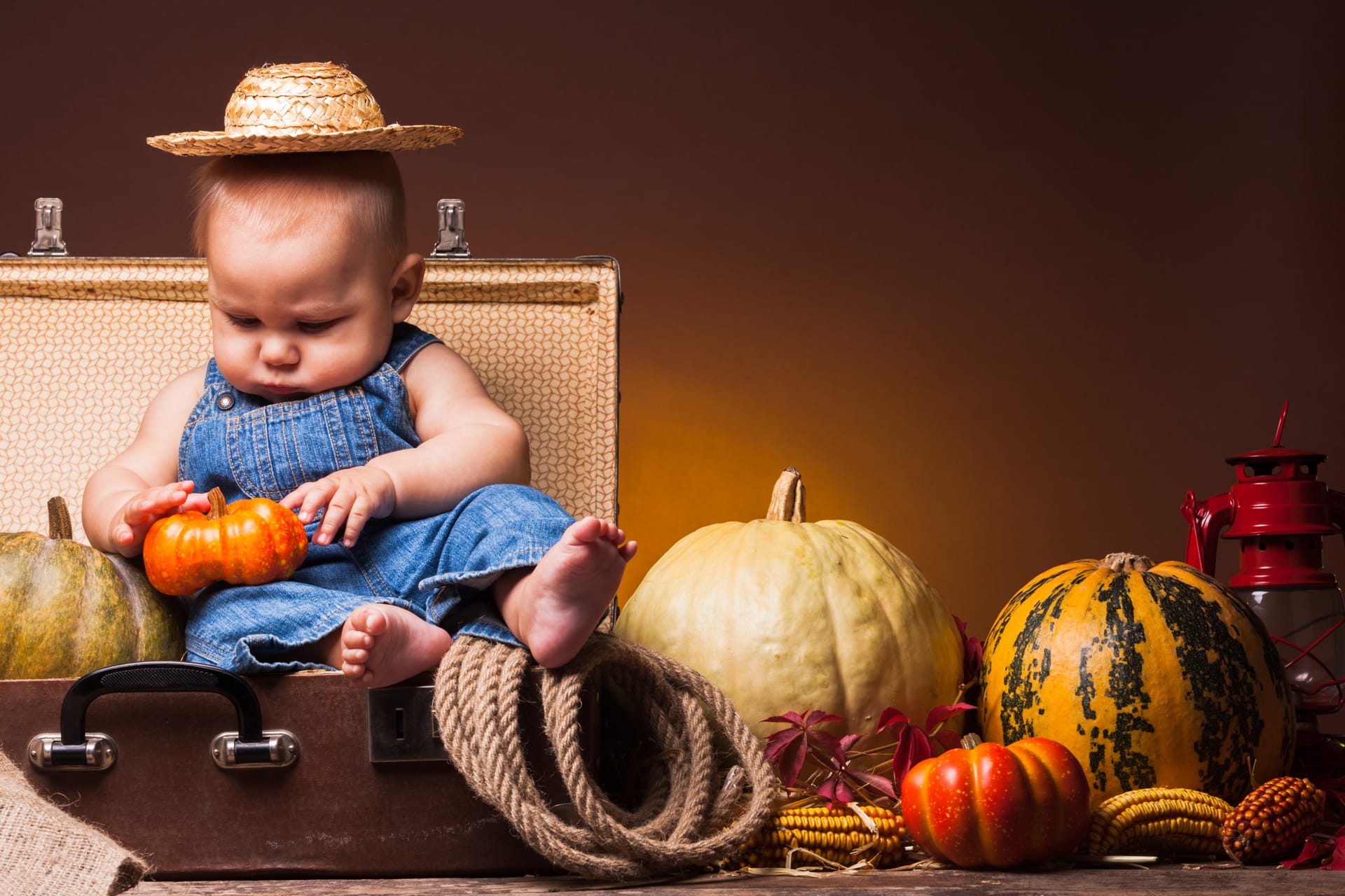 Cute baby posing background pumpkins thanksgiving greetings