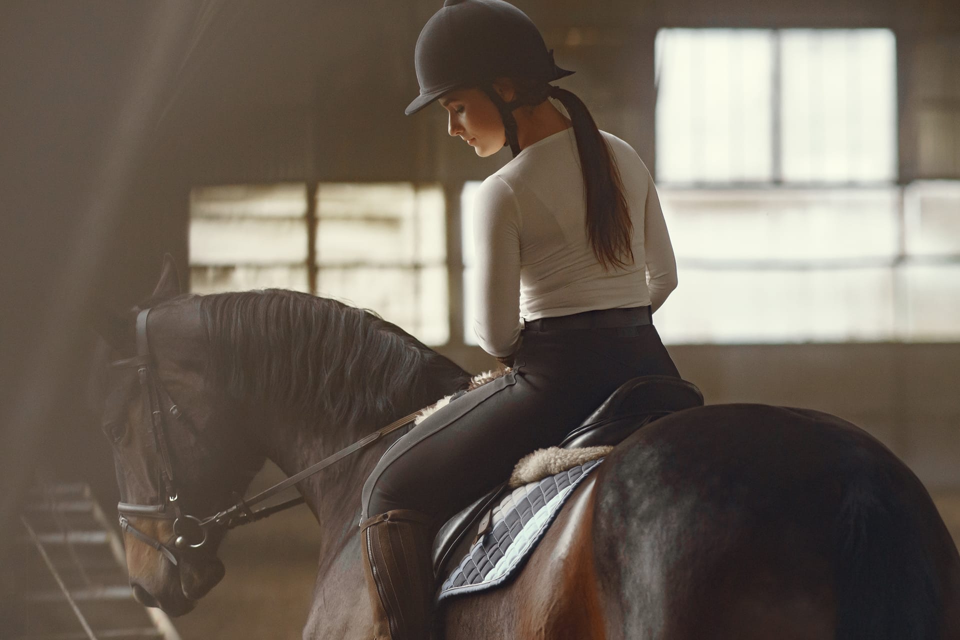Elegant girl farm wiith horse image of horse