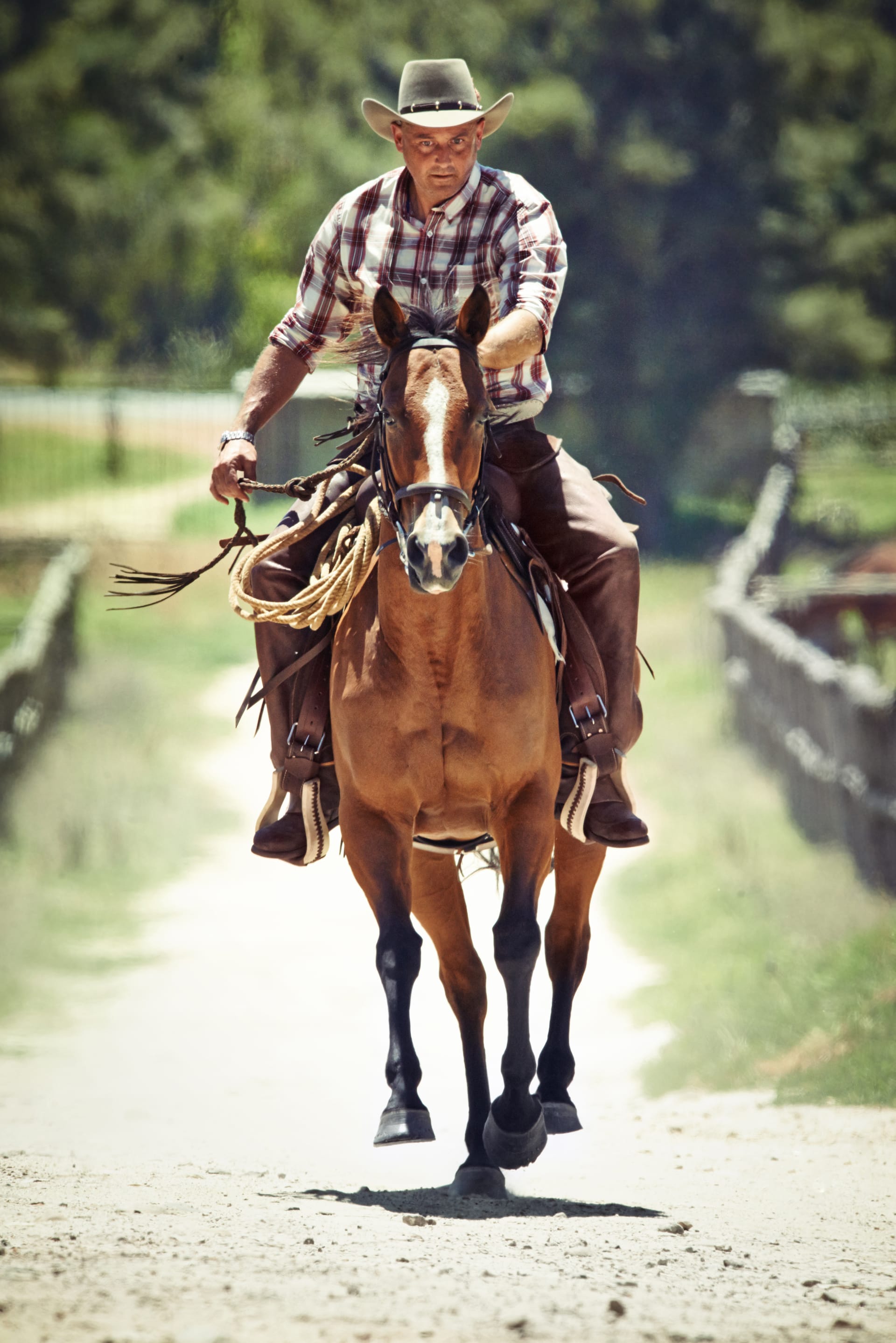 Image of horse yeeha cowboy his horse