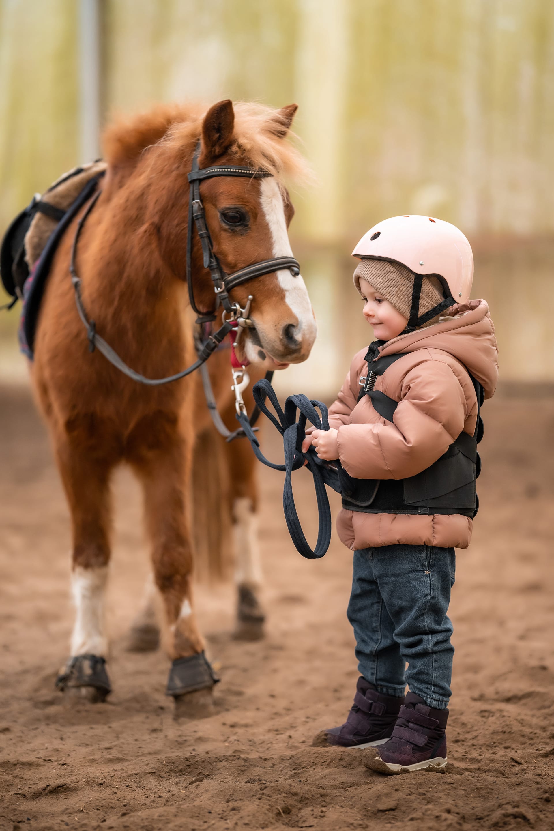 Protective jacket helmet with her brown pony before riding lesson