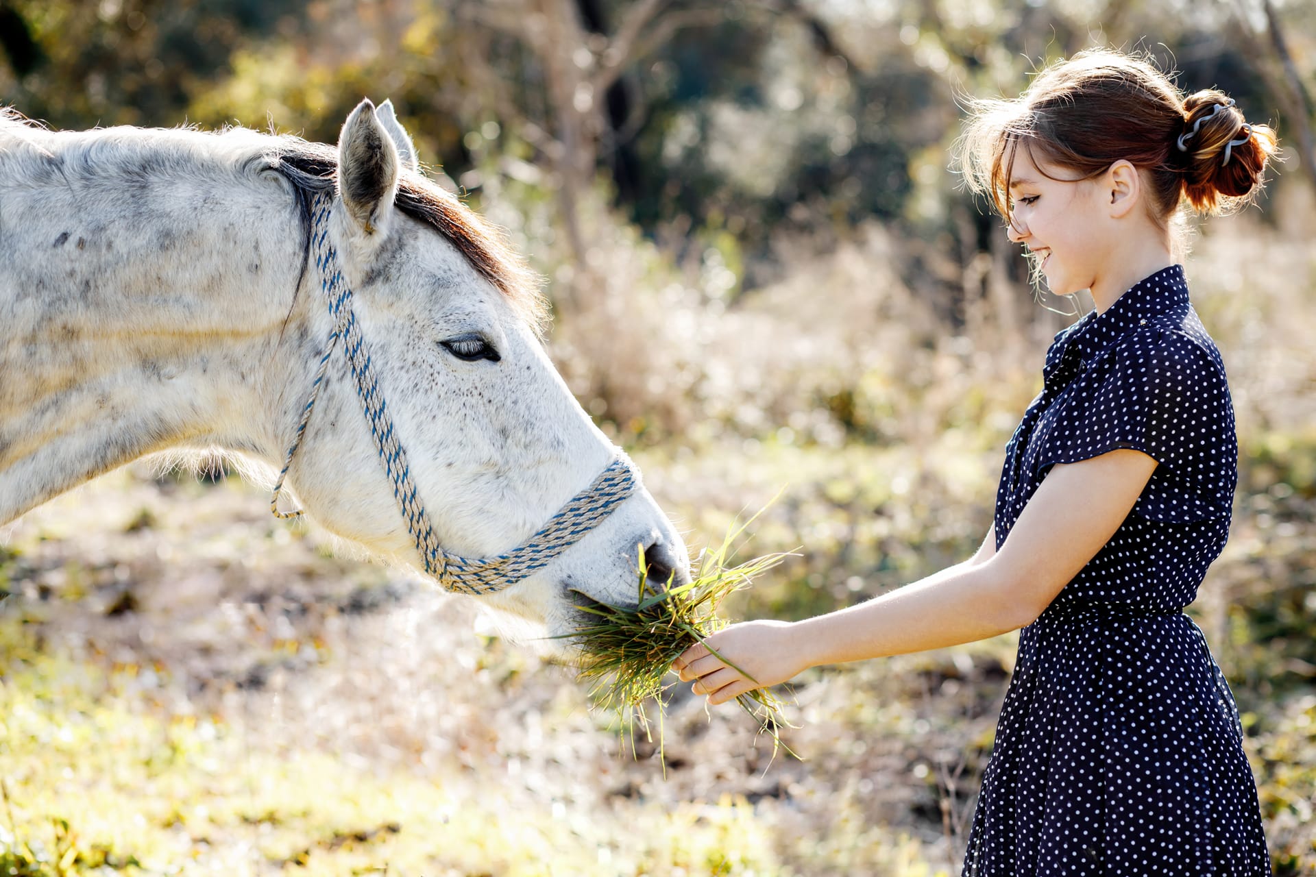 With peas feeds horse with bouquet grass trust care animals