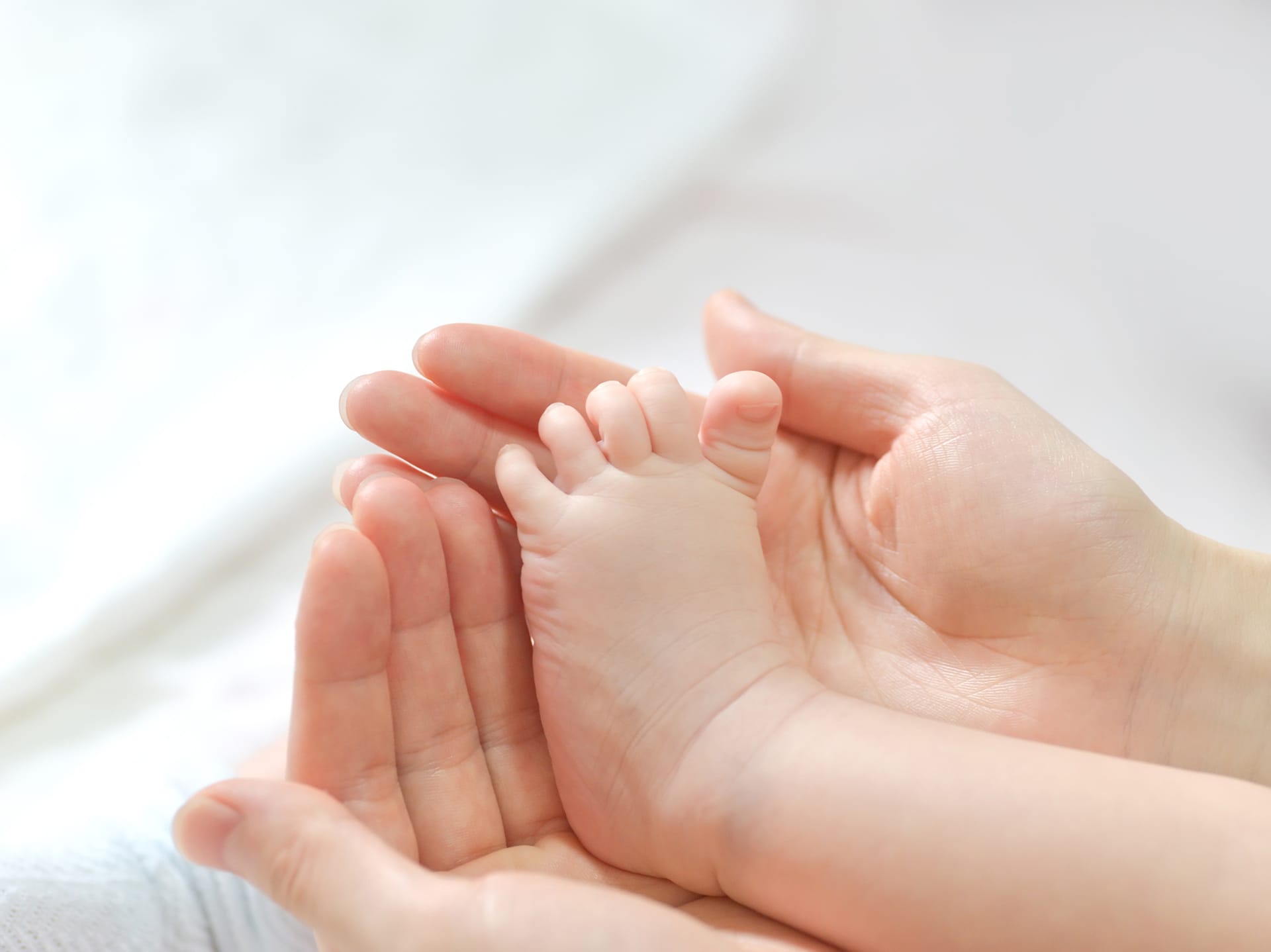 Mother images baby feet mother hands