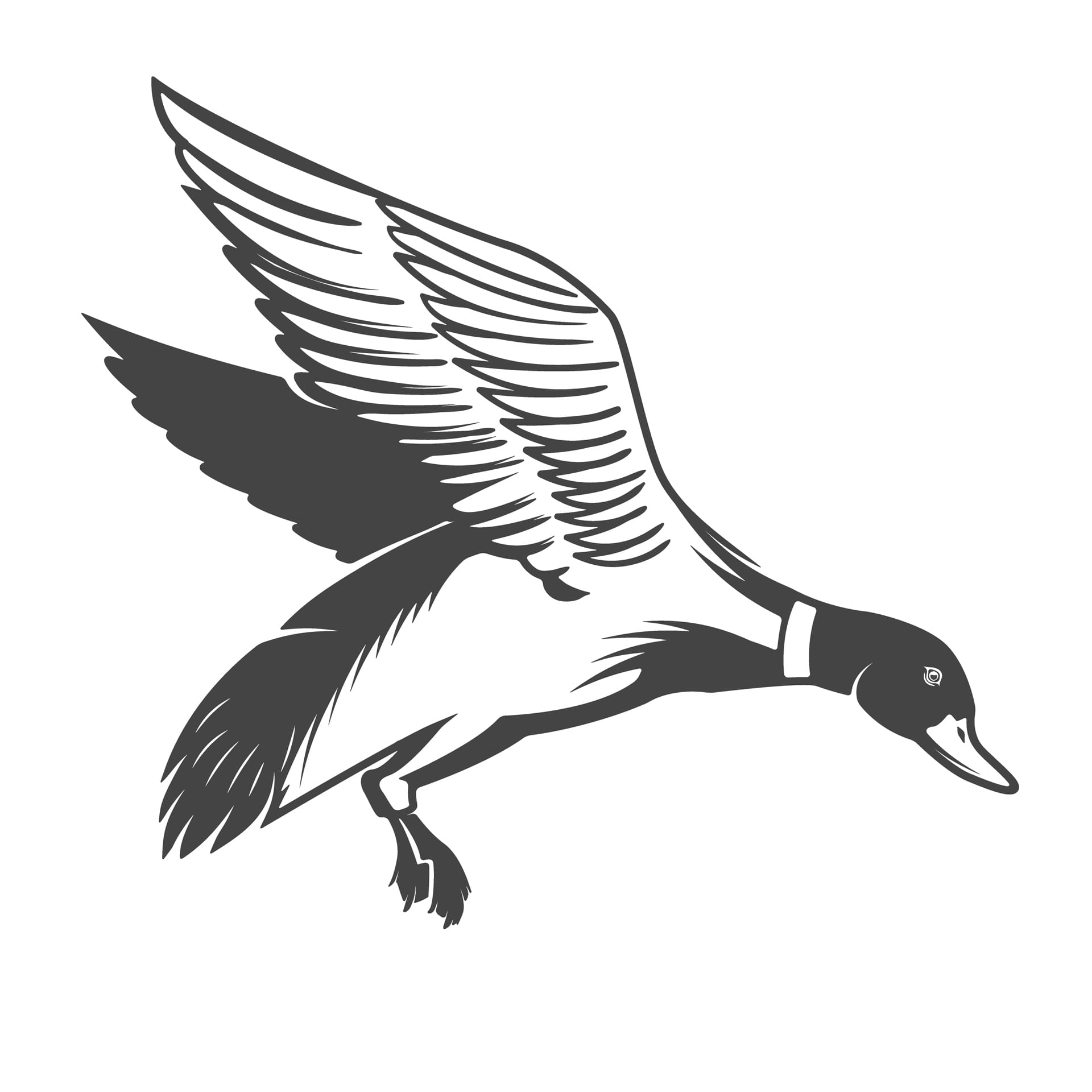Wild ducks icons elements logo label emblem image