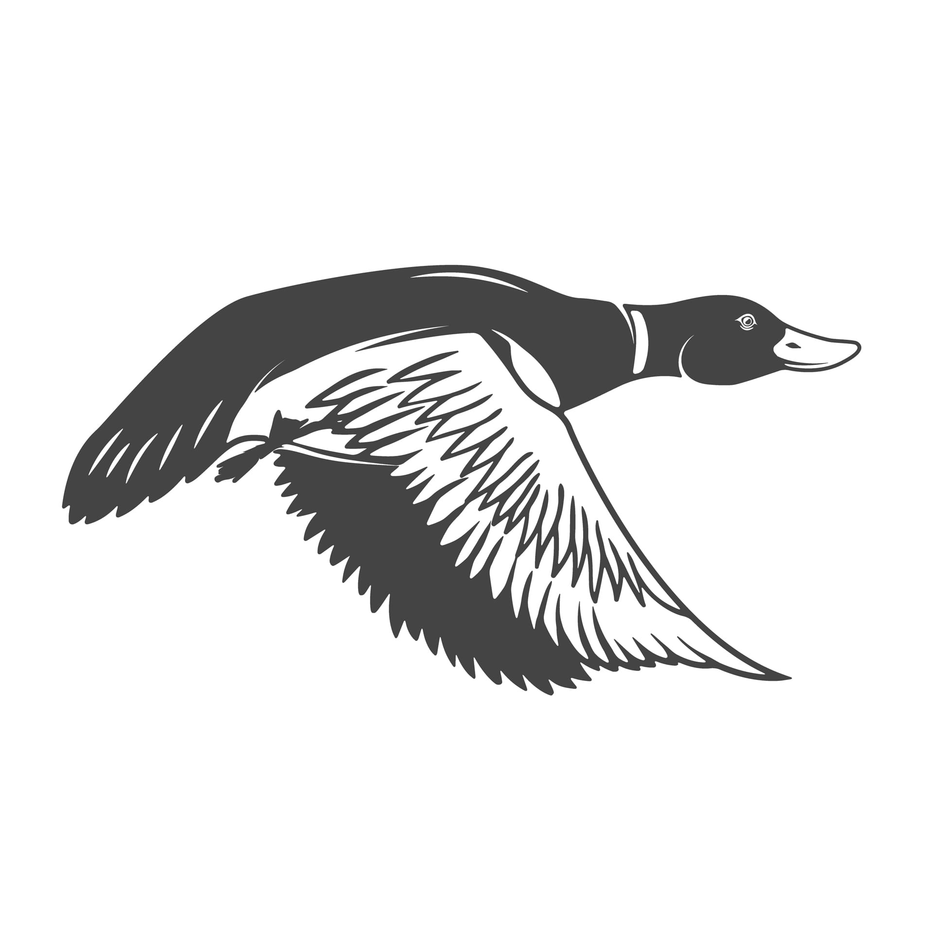 Wild ducks icons elements logo label emblem picture