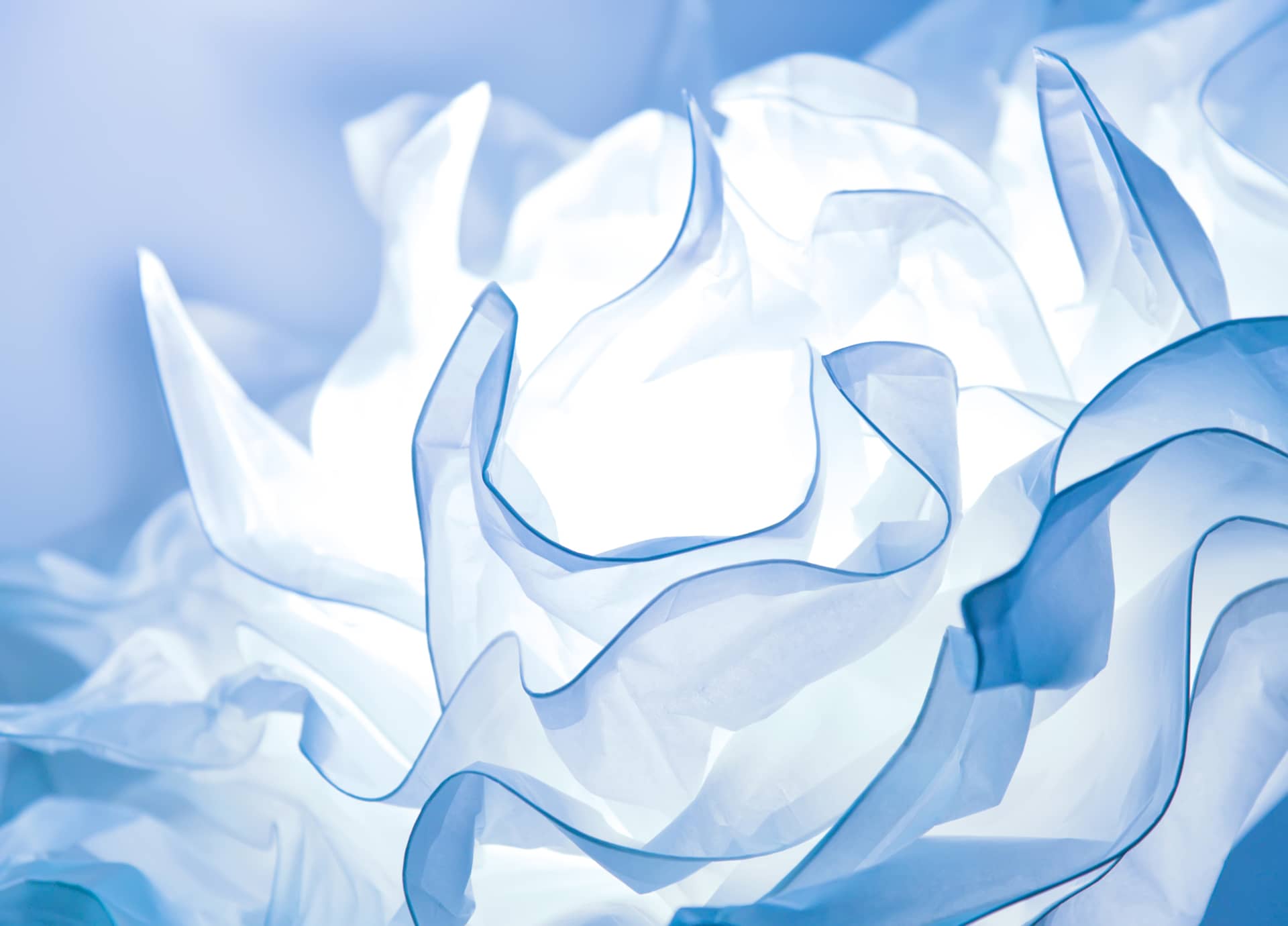 Blue profile picture petals