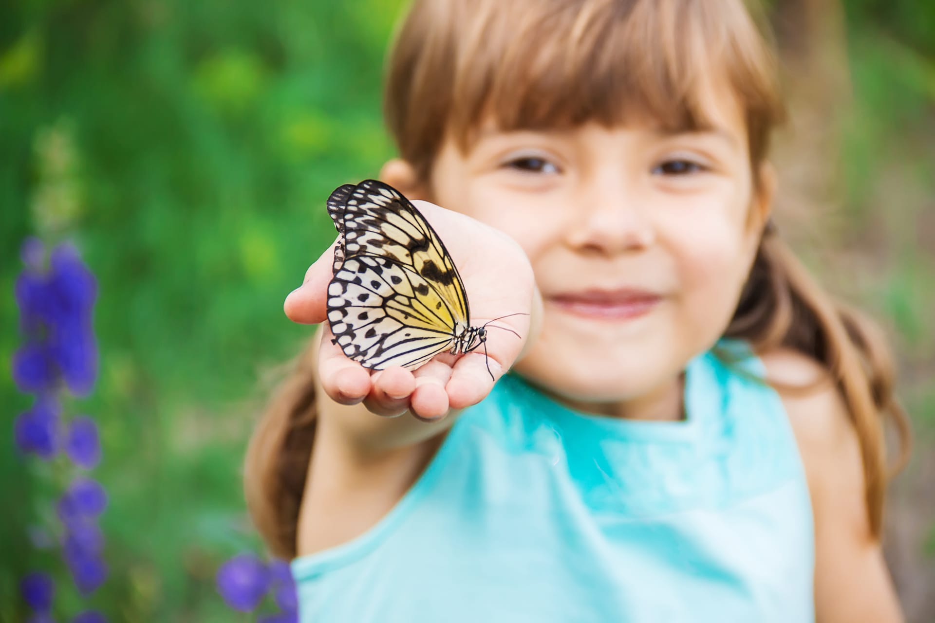 Child with butterfly idea leuconoe selective focus butterfly profile picture