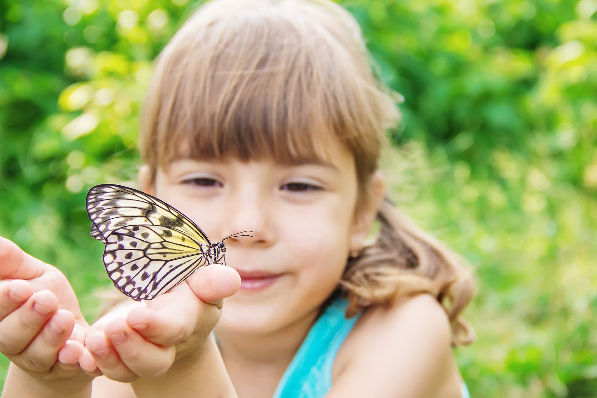 Child with butterfly idea leuconoe selective focus