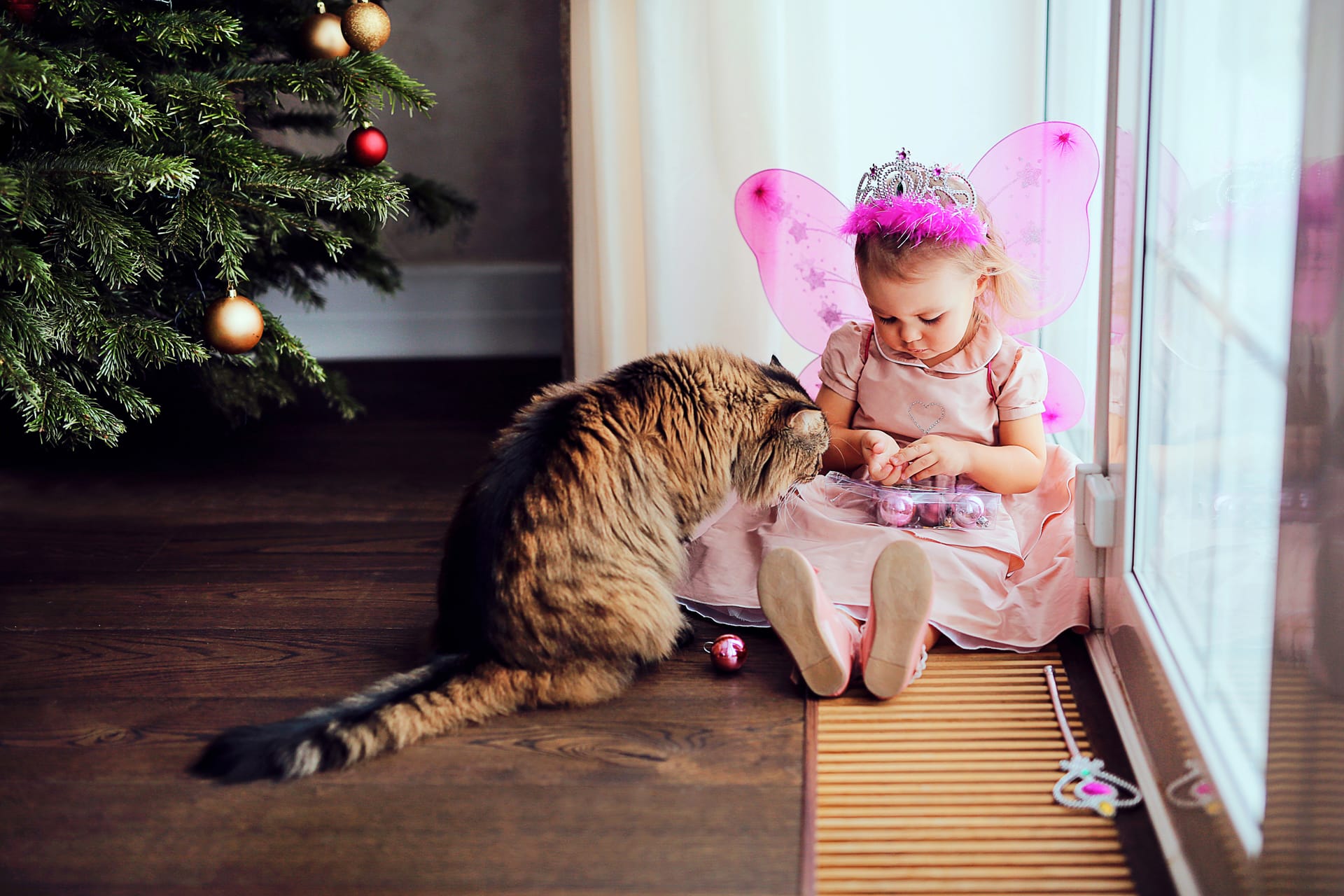 Cute kid fairy costume playing with cat near christmas tree