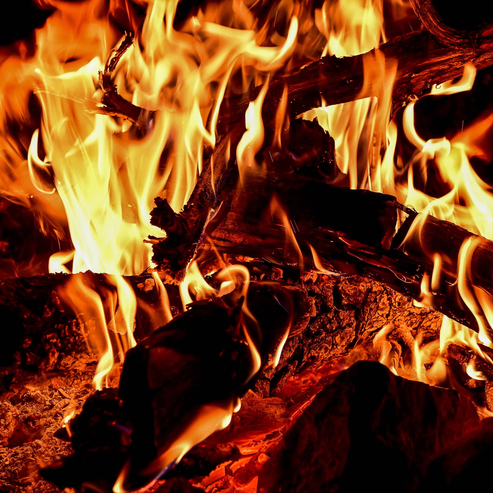 Closeup shot wood burning bright flames