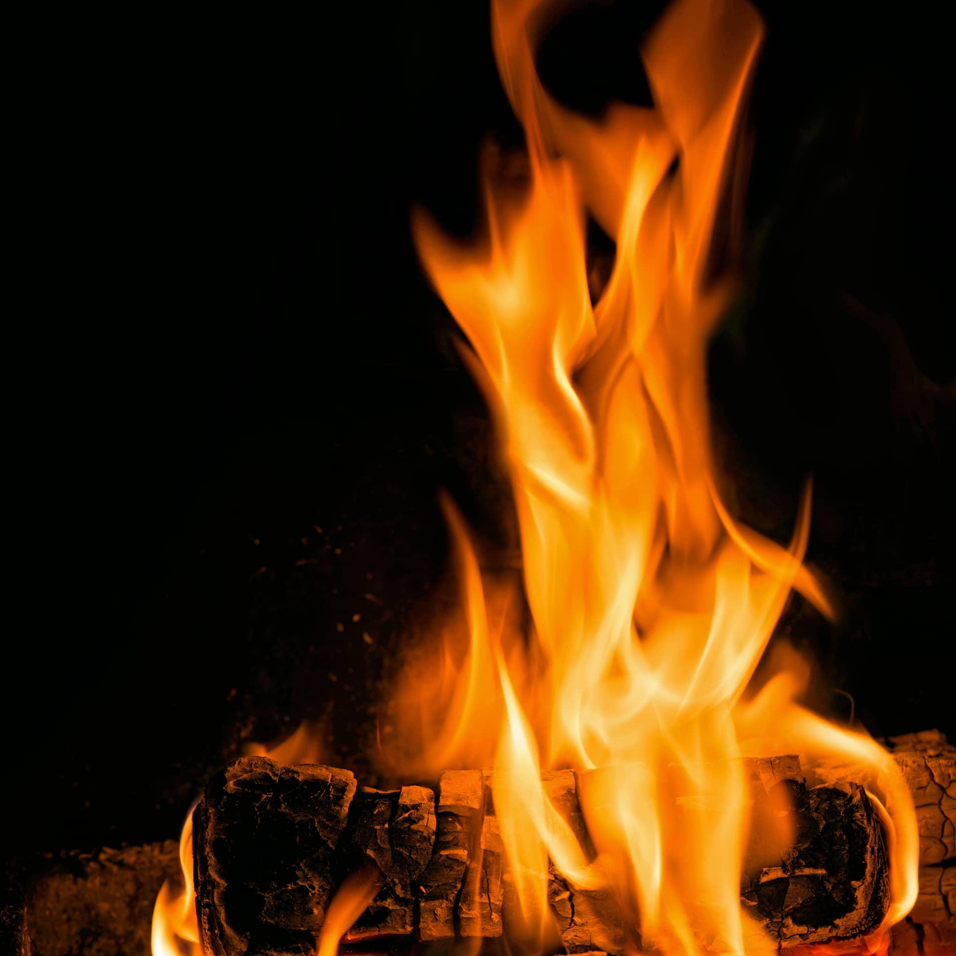 Fire profile pics burning woods flame smoke excellent picture