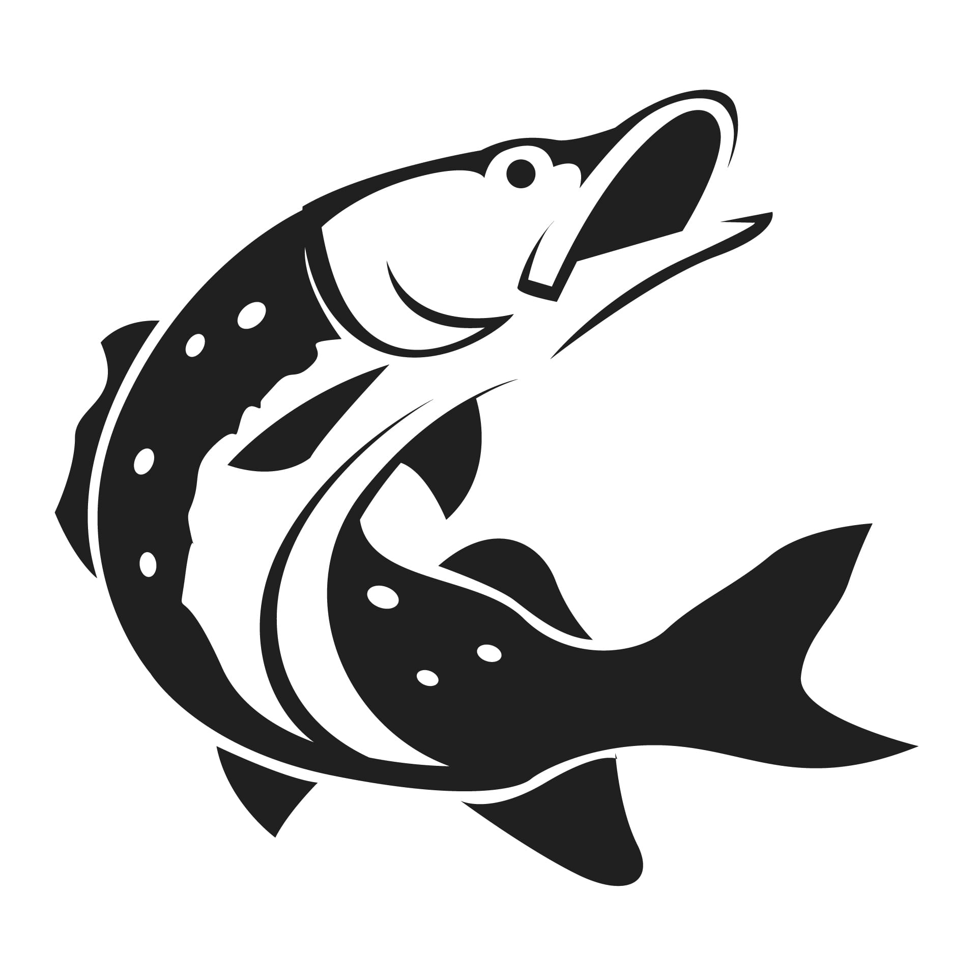 Collection different fish types image fish profile picture