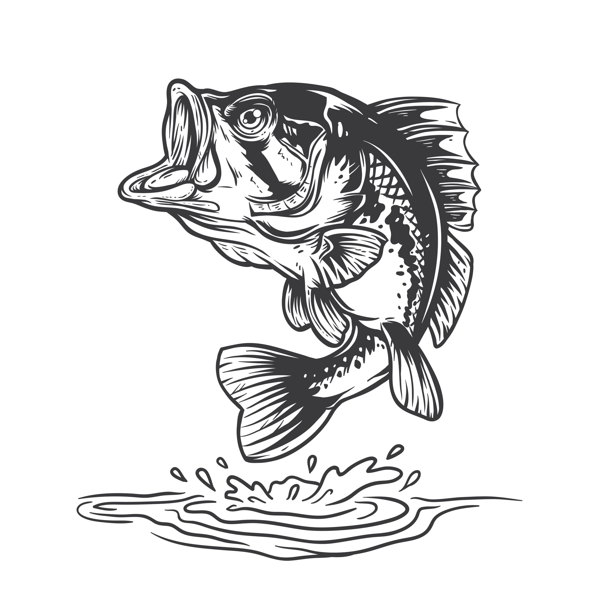 Fish profile picture marlin drawing illustration