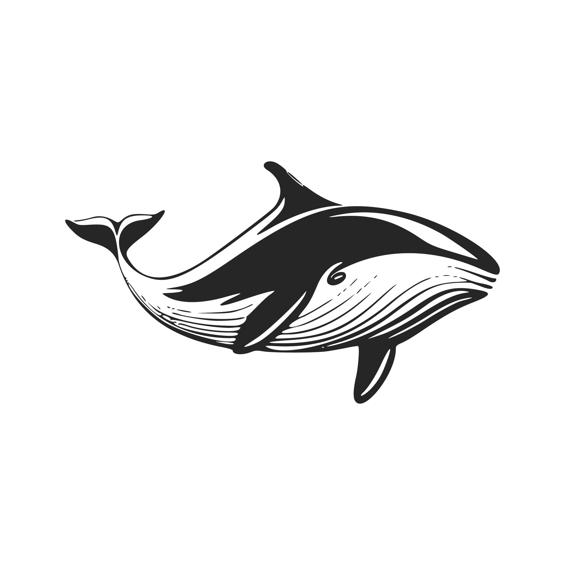 Striking black white whale drawing illustration