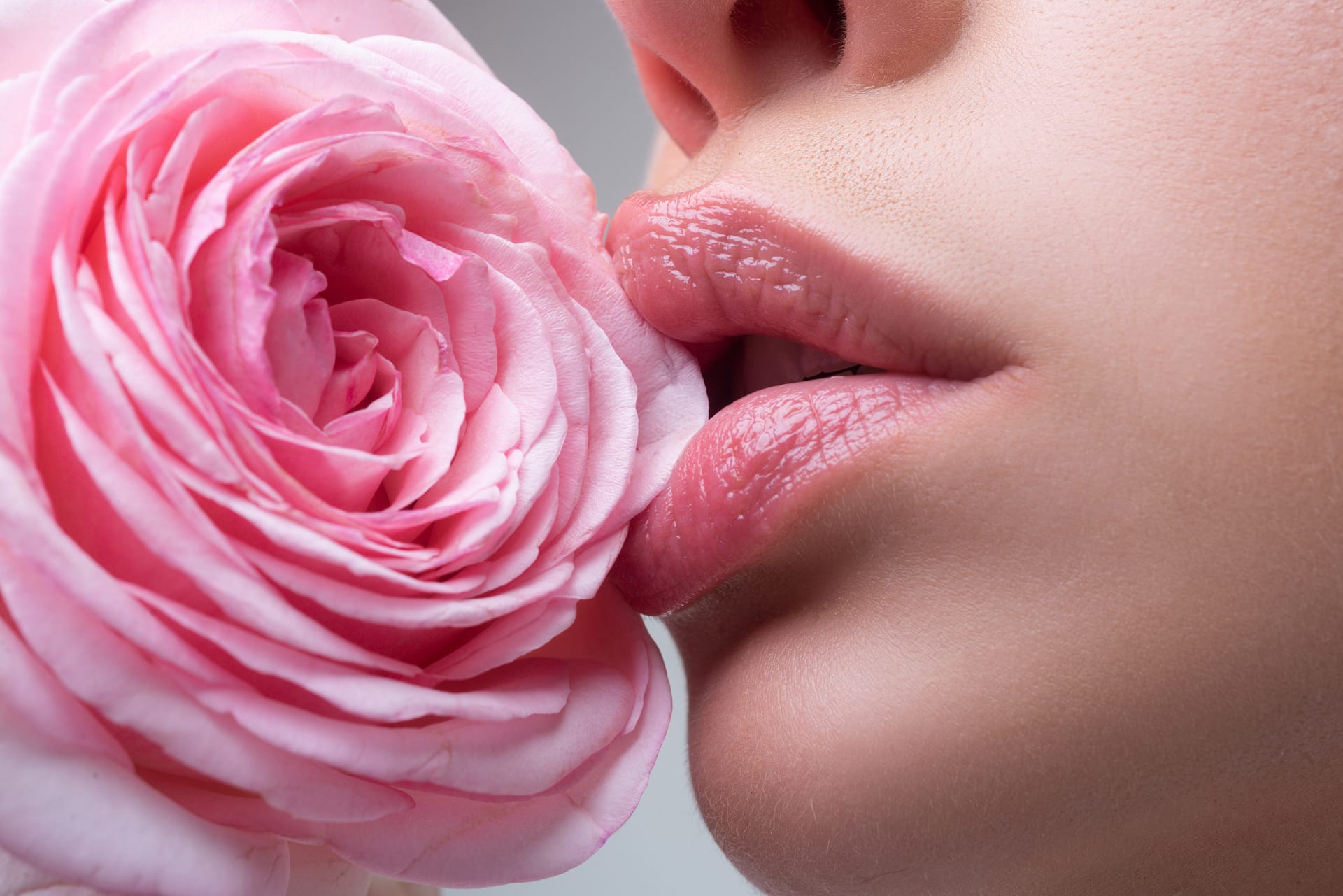 Beautiful woman lips with rose sensual womens open mouths close up macro with beautiful mouths
