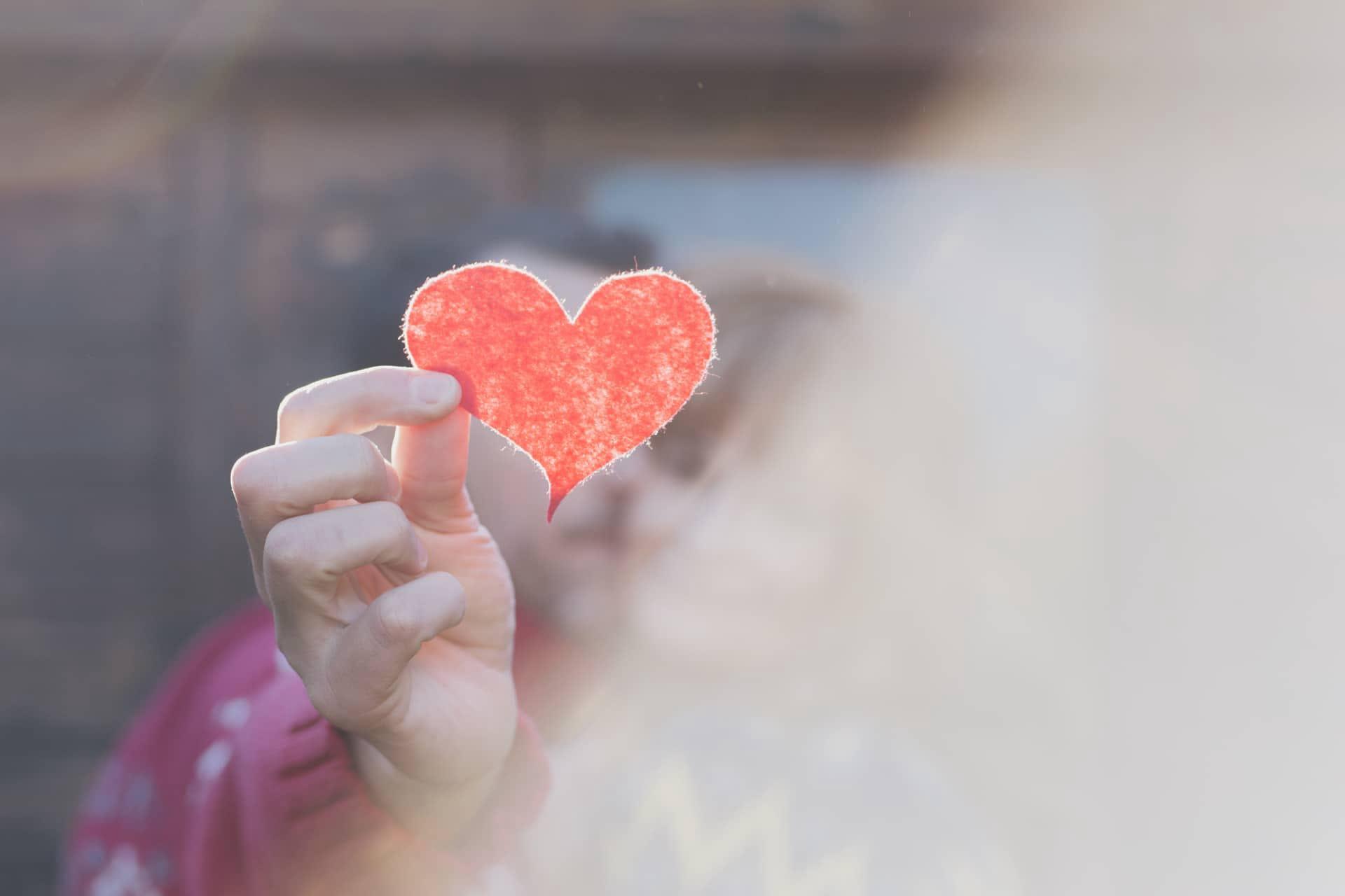 Heart profile picture 02