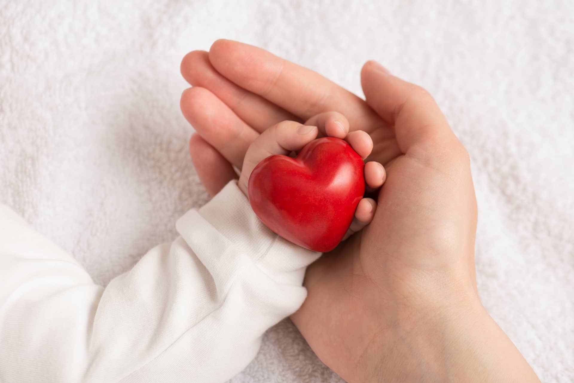 Heart profile picture hand holding small red heart isolated white textile background