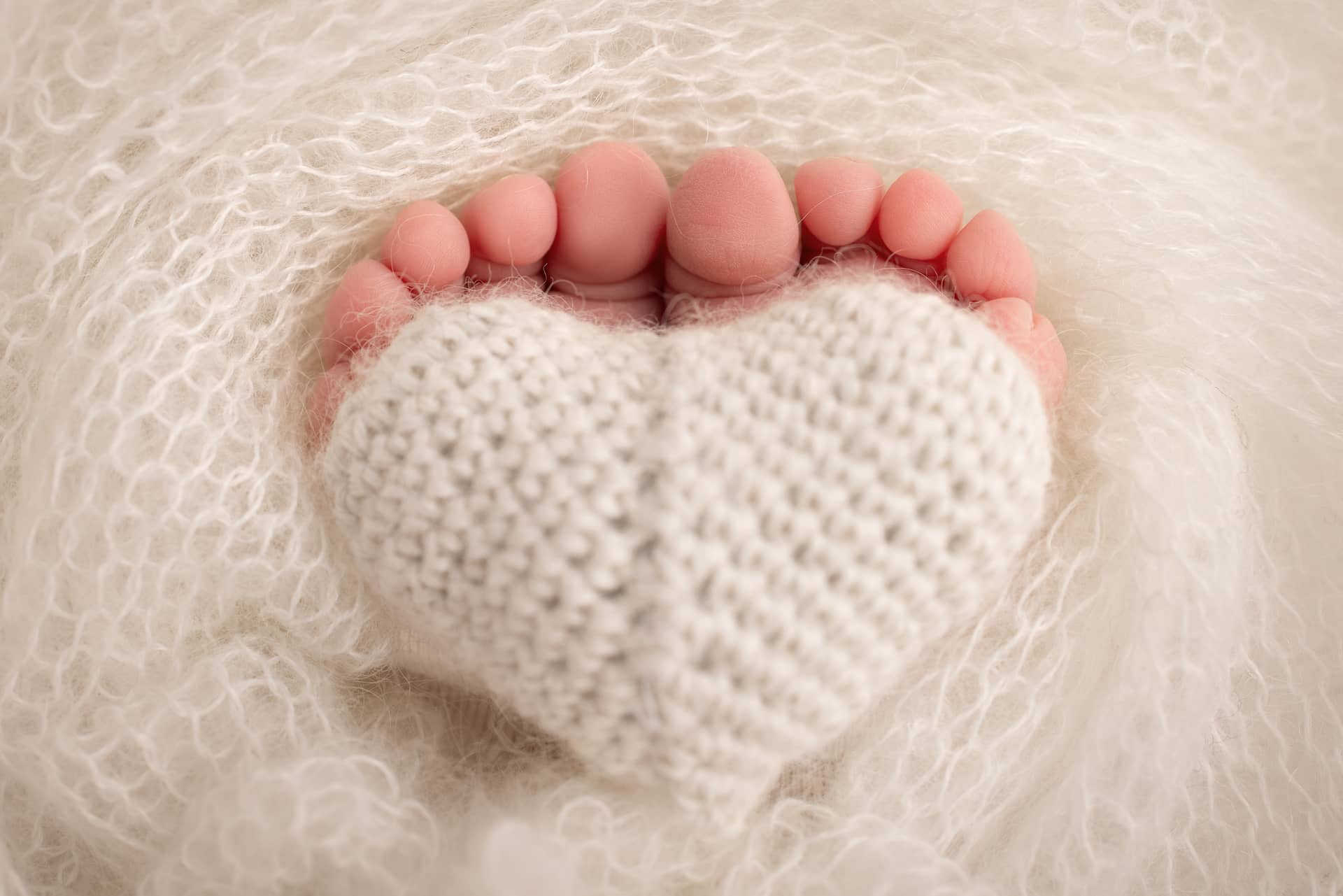 Heels feet newborn knitted heart legs baby macro studio photography