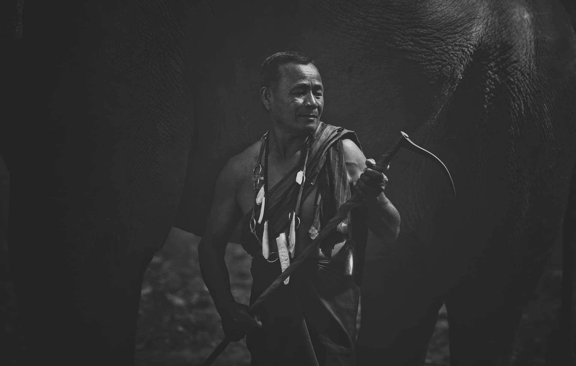 Thai farmer walking with elephant jungle men profile pic