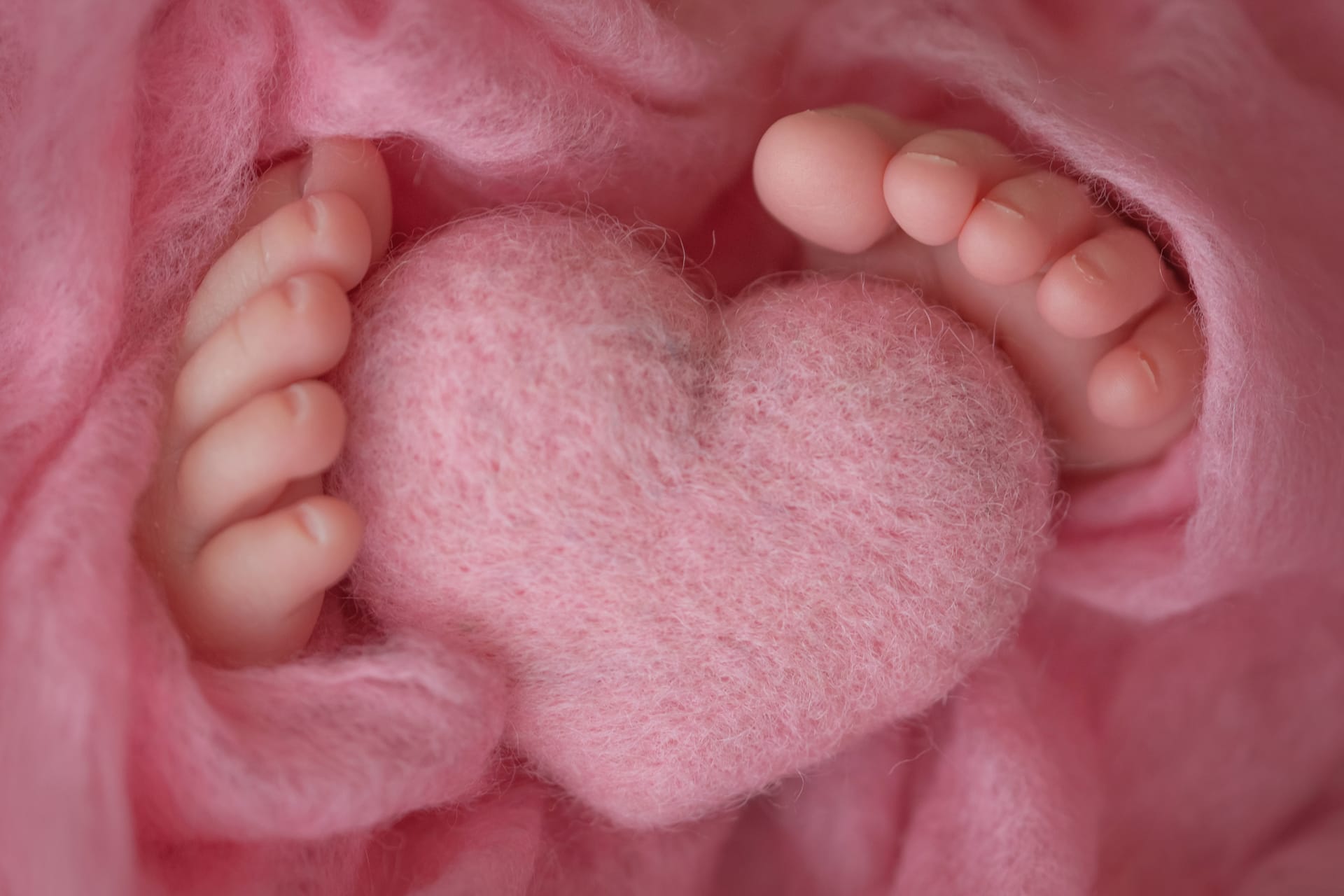Pink profile picture baby feet wrapped pink knitted blanket knitted heart made woolen threads photo