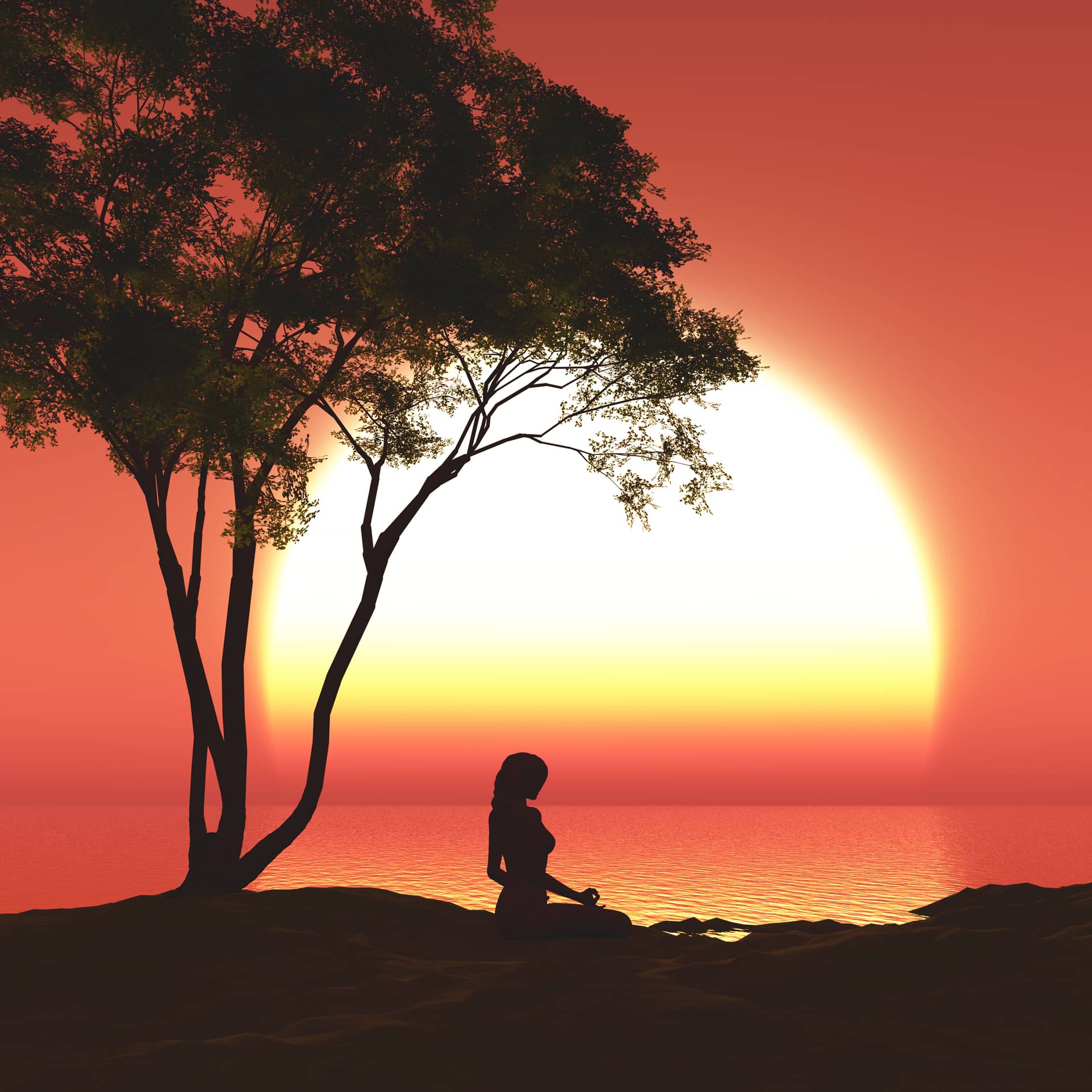 Pinterest profile picture sunset landscape with female yoga pose tree
