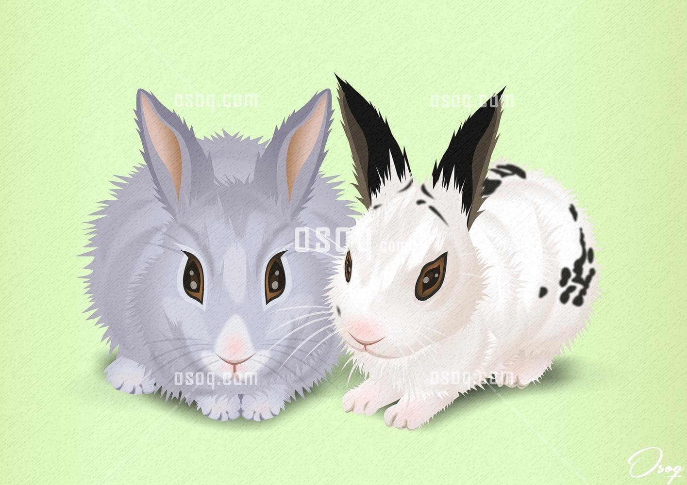 Animals cartoon caricature 02