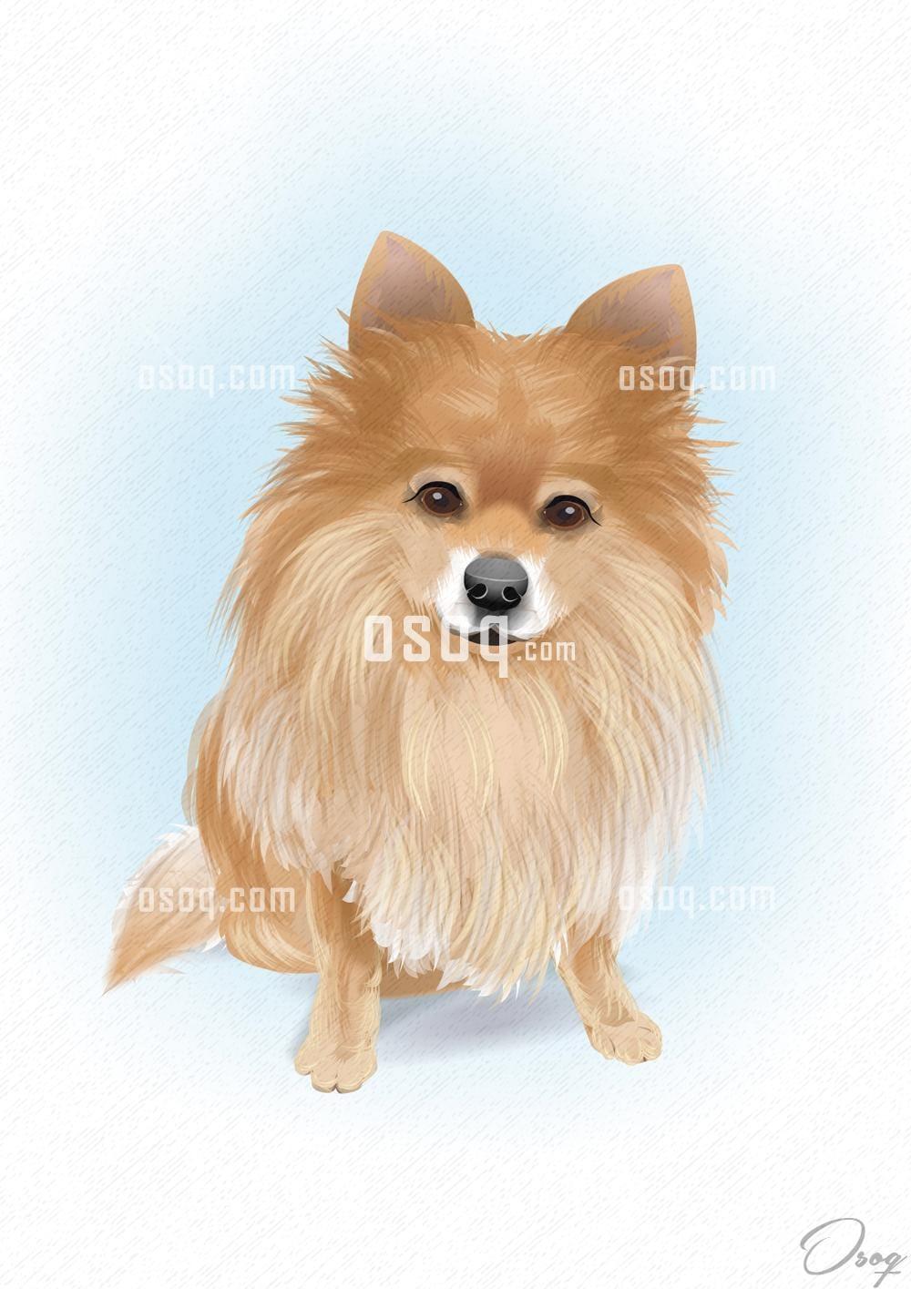Pets cartoon caricature 11