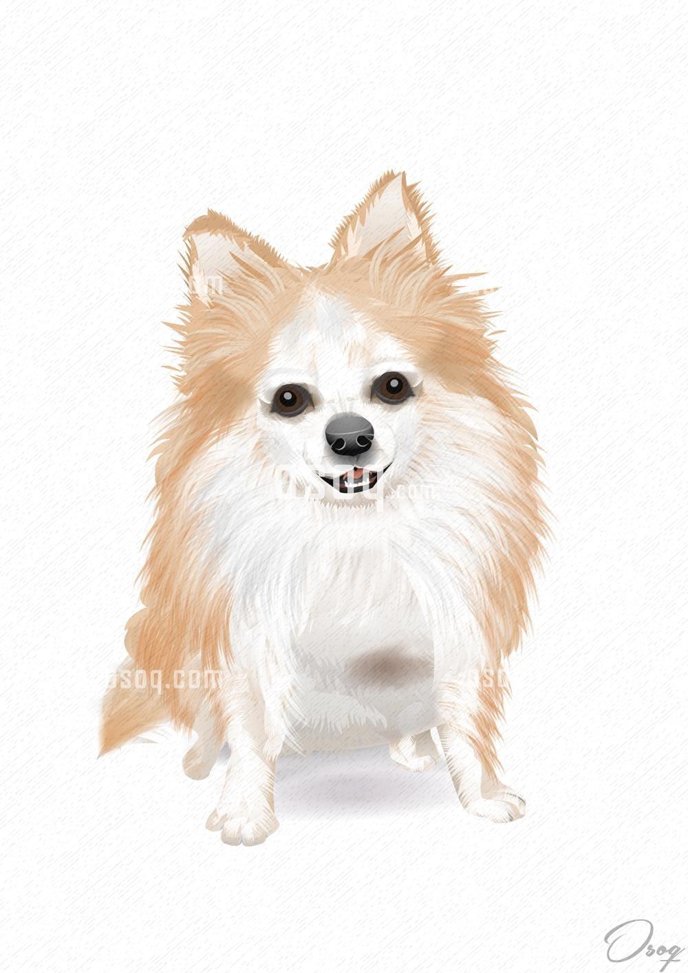Pets cartoon caricature 12