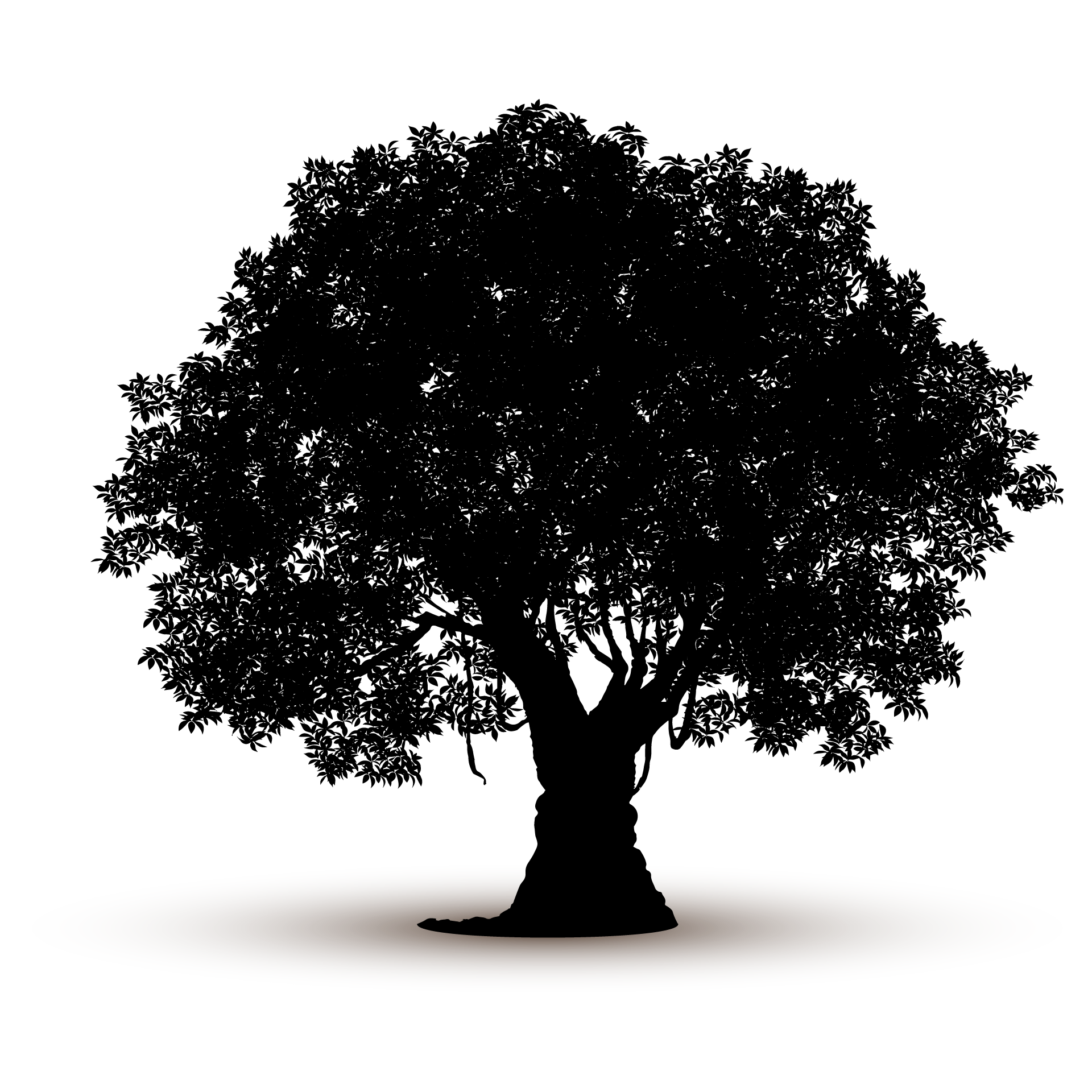 Adult nature tree silhouette isolated excellent image