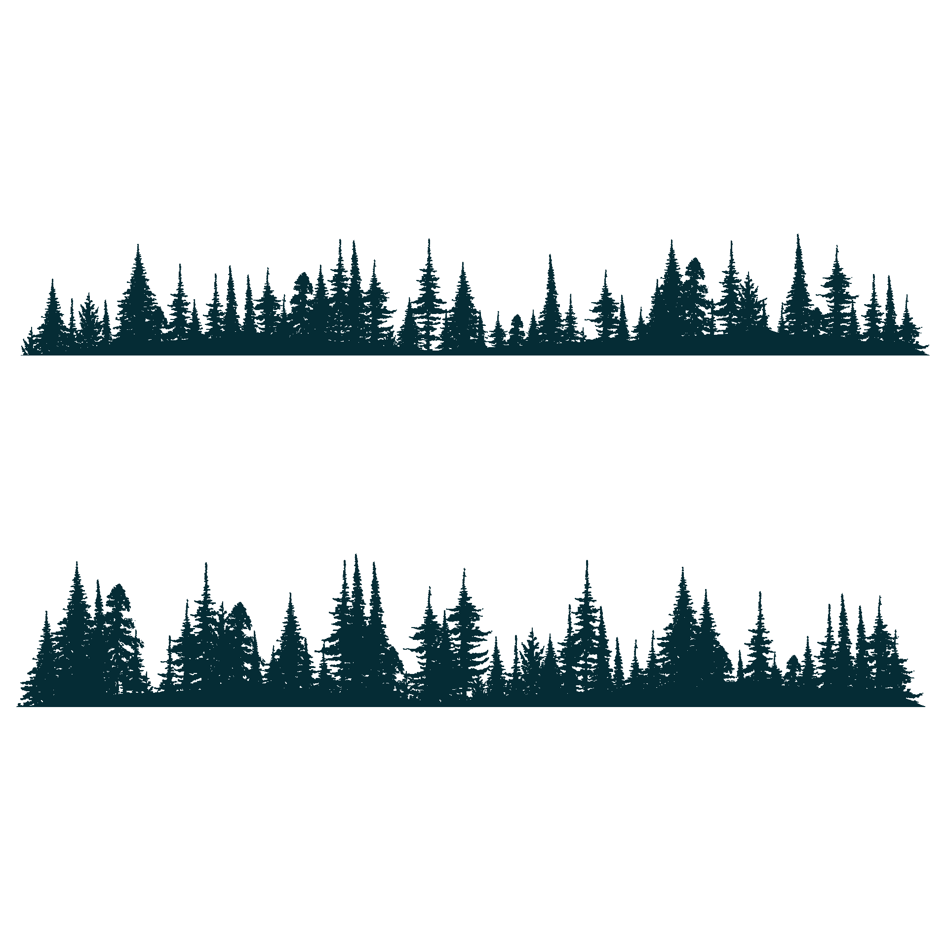 Adult nature tree silhouette isolated excellent img