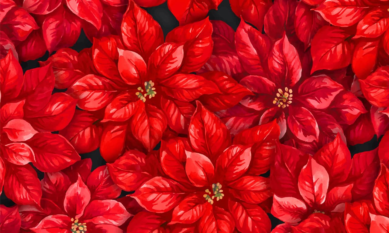 Flower clipart red flowers seamless pattern background