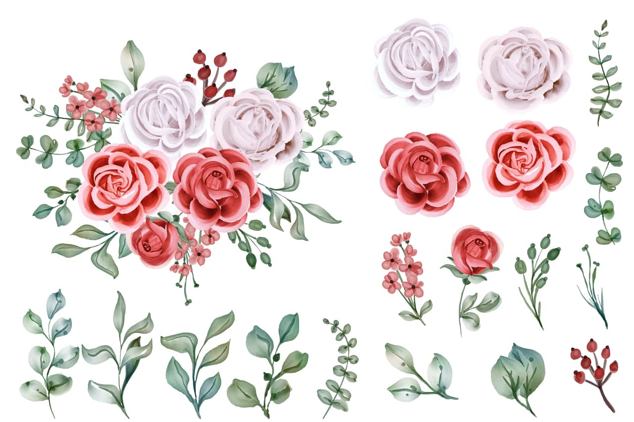 Flower clipart set roses flowers plants with branches leaves