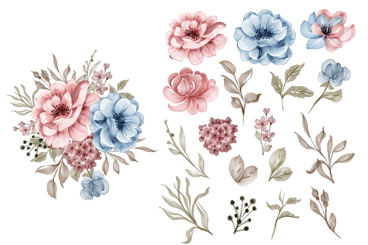 Set flower pink blue leaf isolated clip art hand drawing sketch
