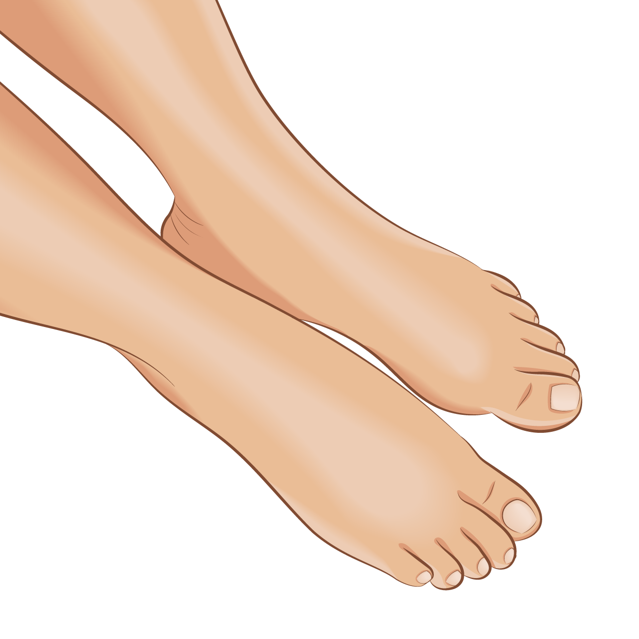 Foot clipart bare female legs top view hand drawing sketch