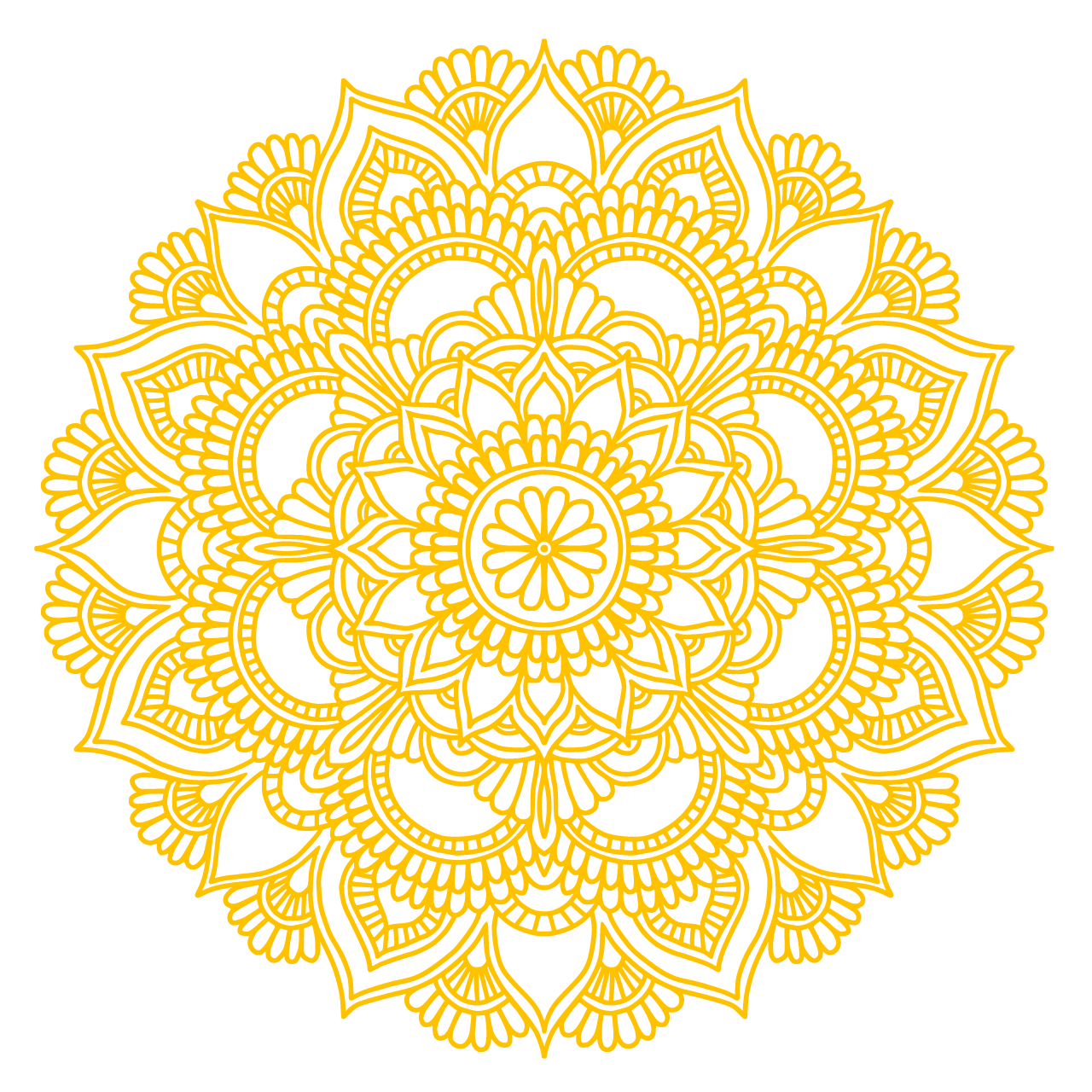 Circle flower mandala illustration transparent background image