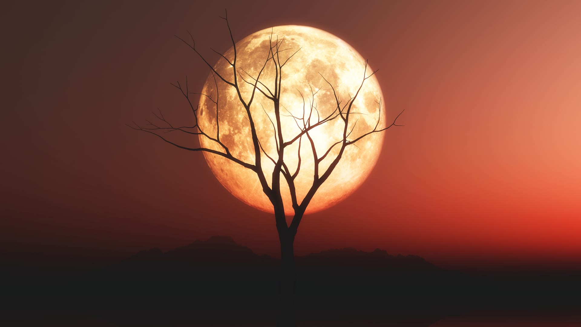 Landscape with old tree silhouette against red moonlit sky