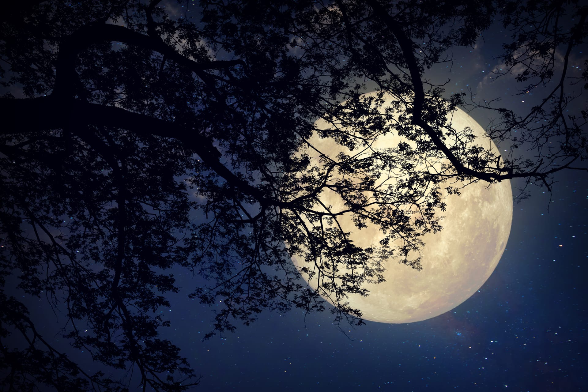 Vintage color tone elements this moon image furnished by nasa