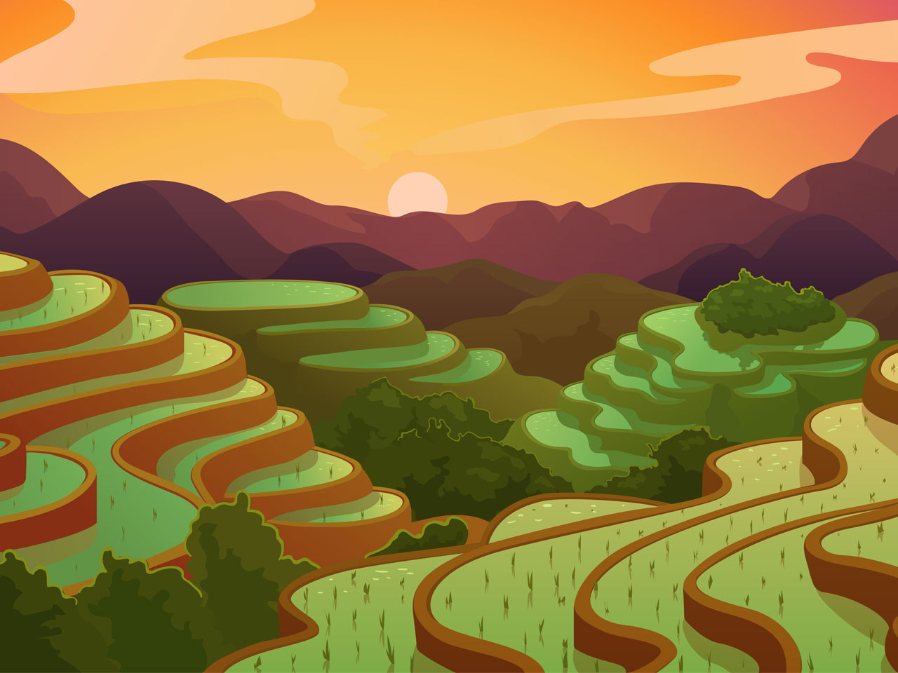 Philippine clipart cartoon illustration image landscape rice field terrace