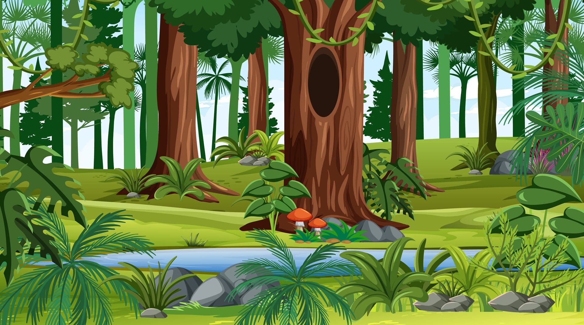 Forest landscape scene day time with many different trees