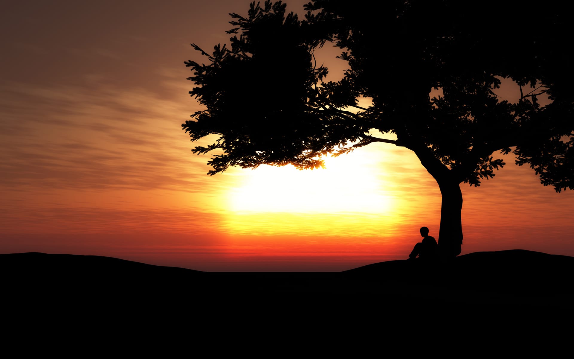 Silhouette boy sitting tree sunset sunset clipart