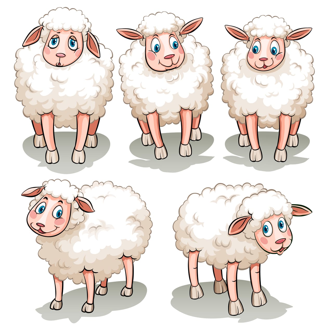 Five white sheeps hand drawing sketch cartoon image